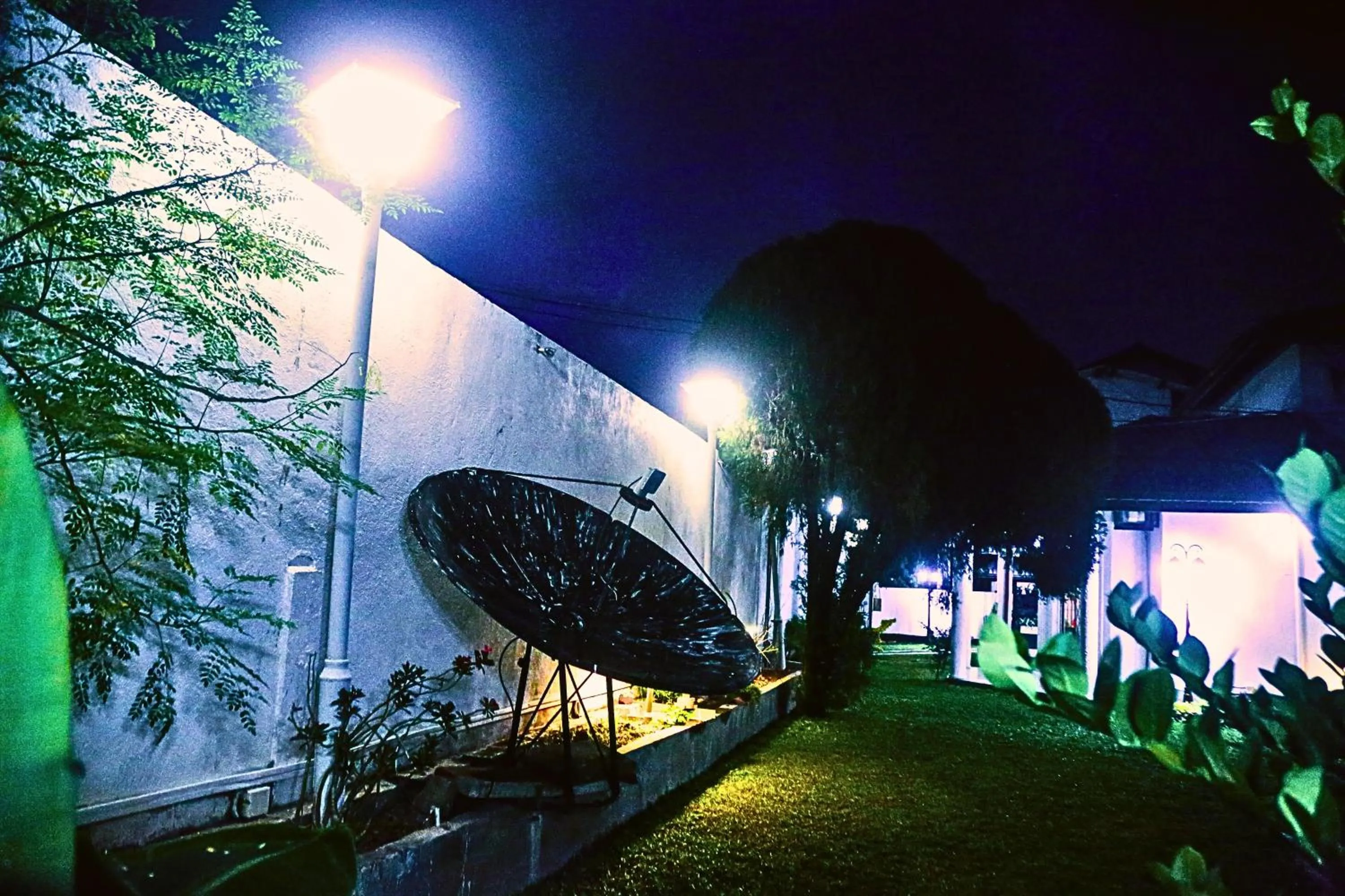 Garden in Ared Villa