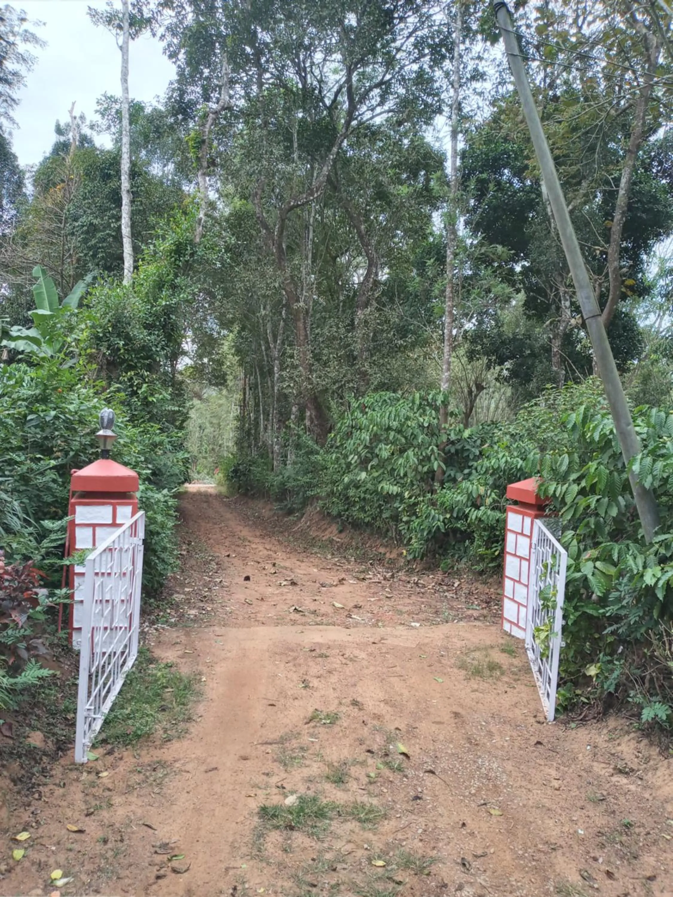 Coorg klusters estate stay