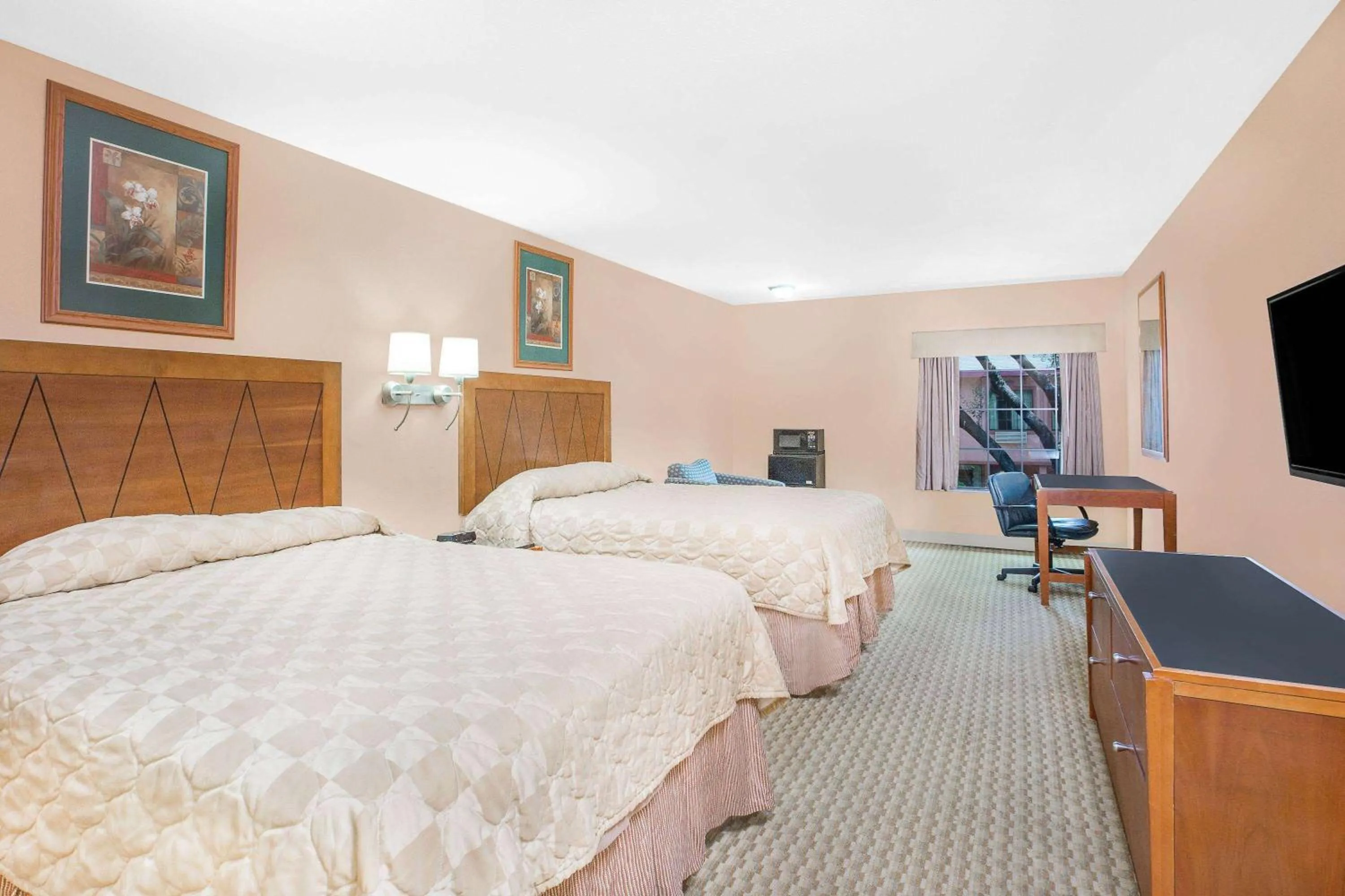 Photo of the whole room, Bed in Super 8 by Wyndham San Angelo