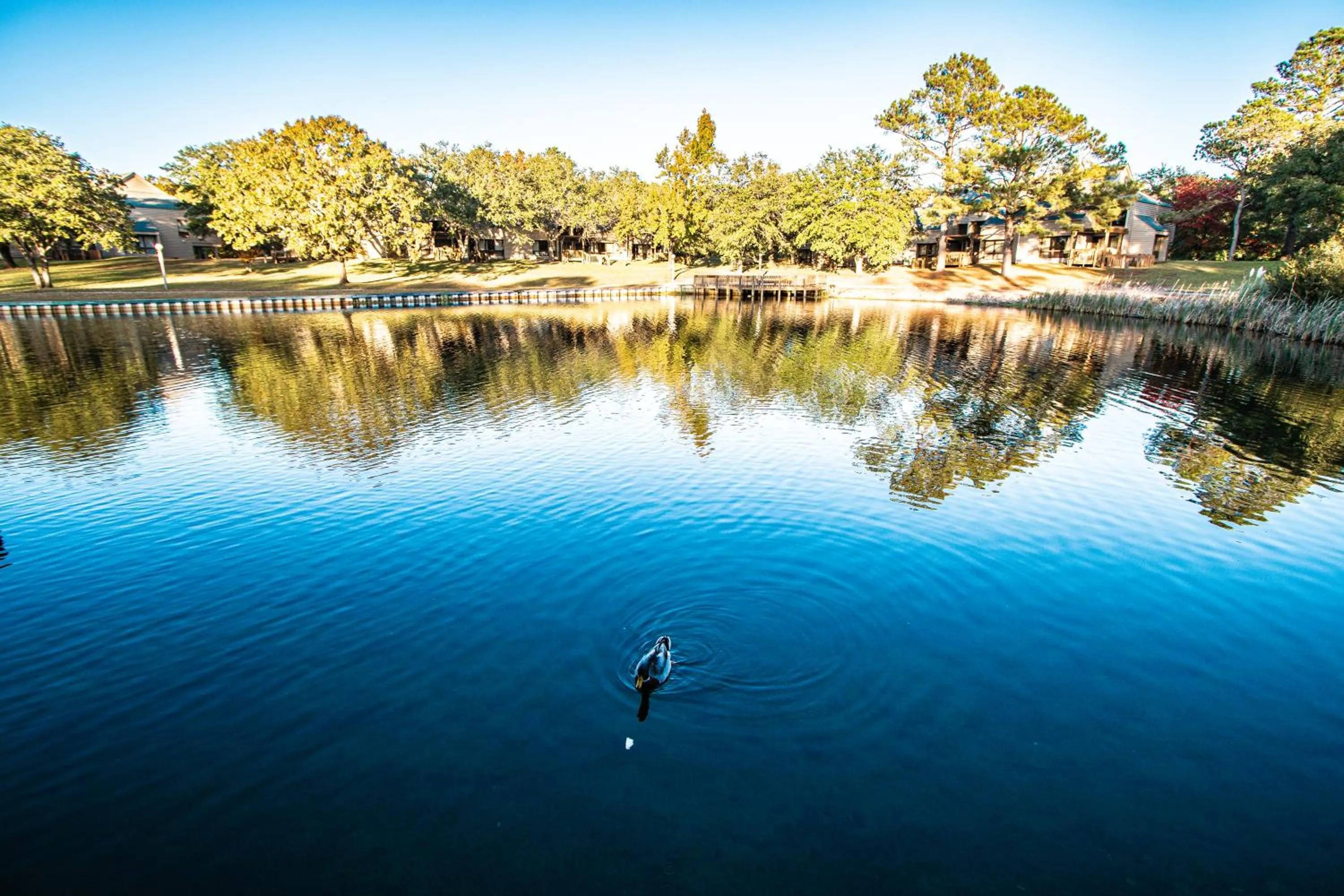 Waterwood Townhouses