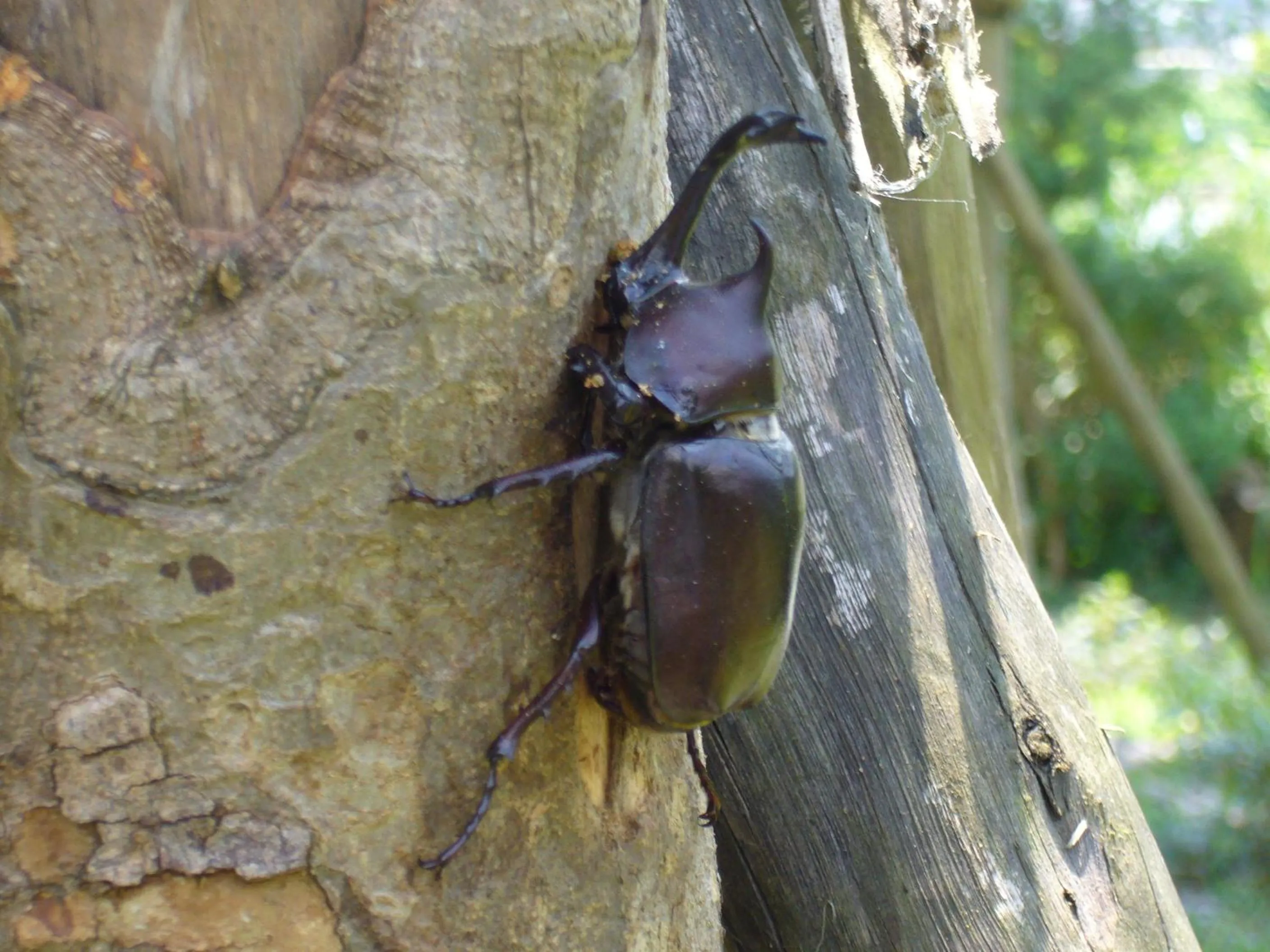 View (from property/room) in Country Grange B&B