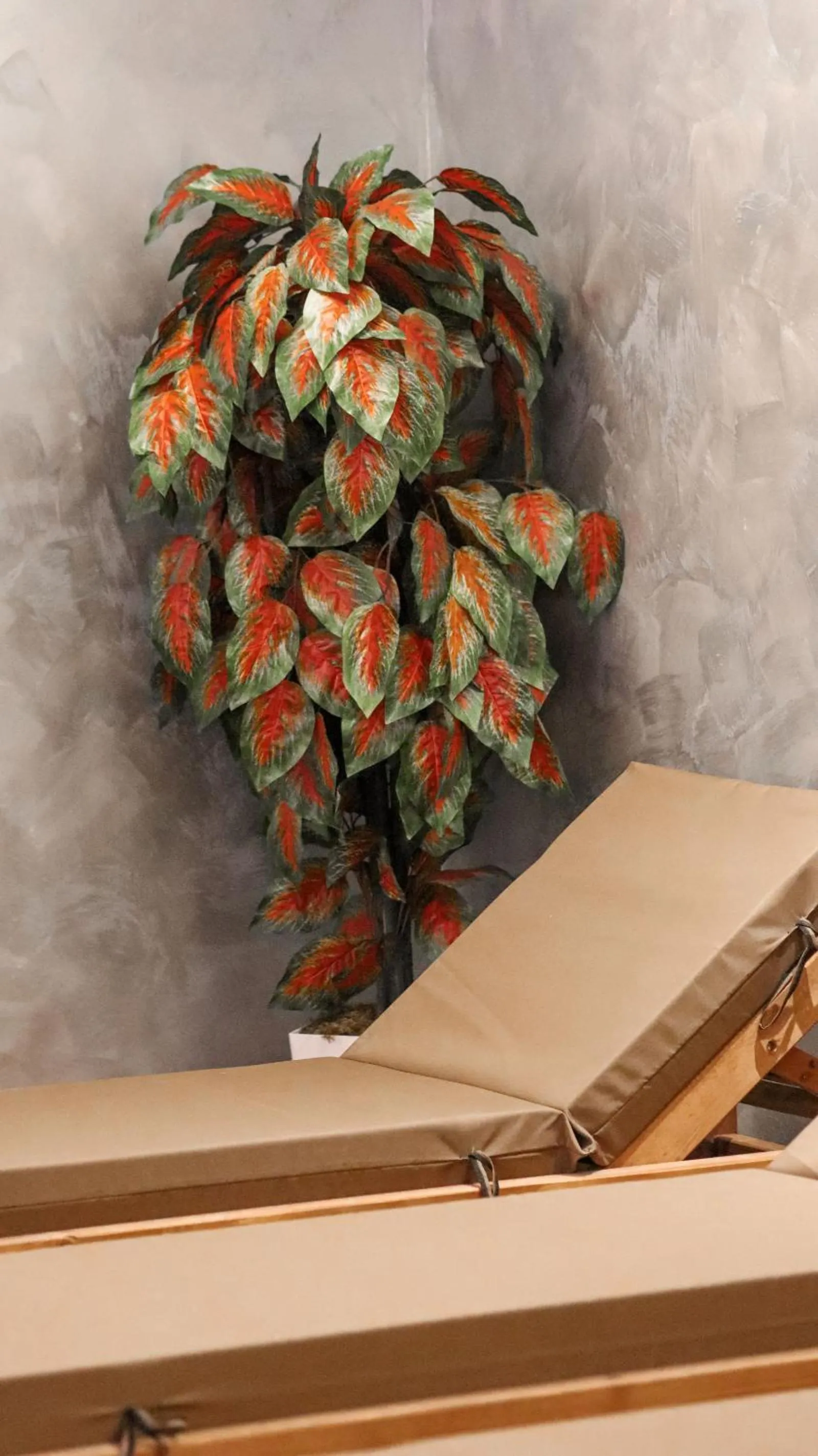 Swimming pool in Toer Hotel & SPA