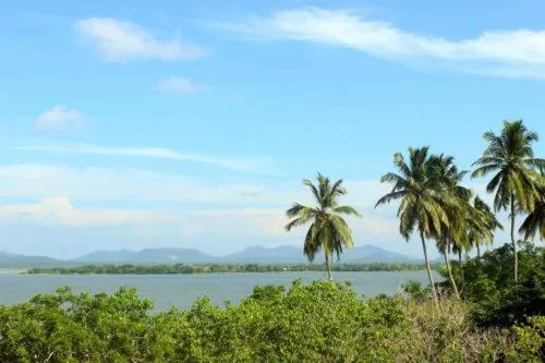 Wellness Junior Suite - single occupancy in Thaulle Ayurveda Resort - Yala