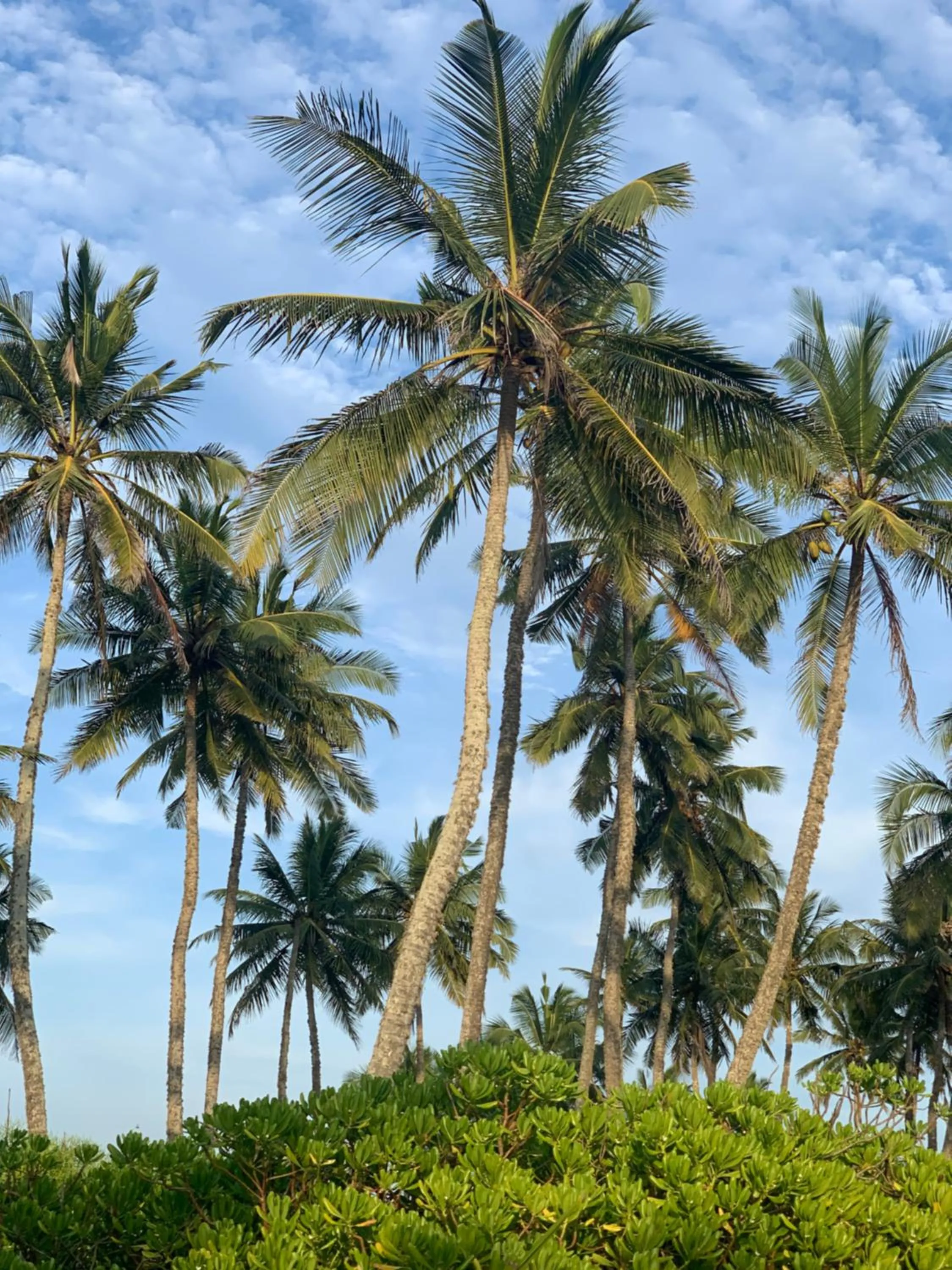 Beach in Serein Beach Hotel