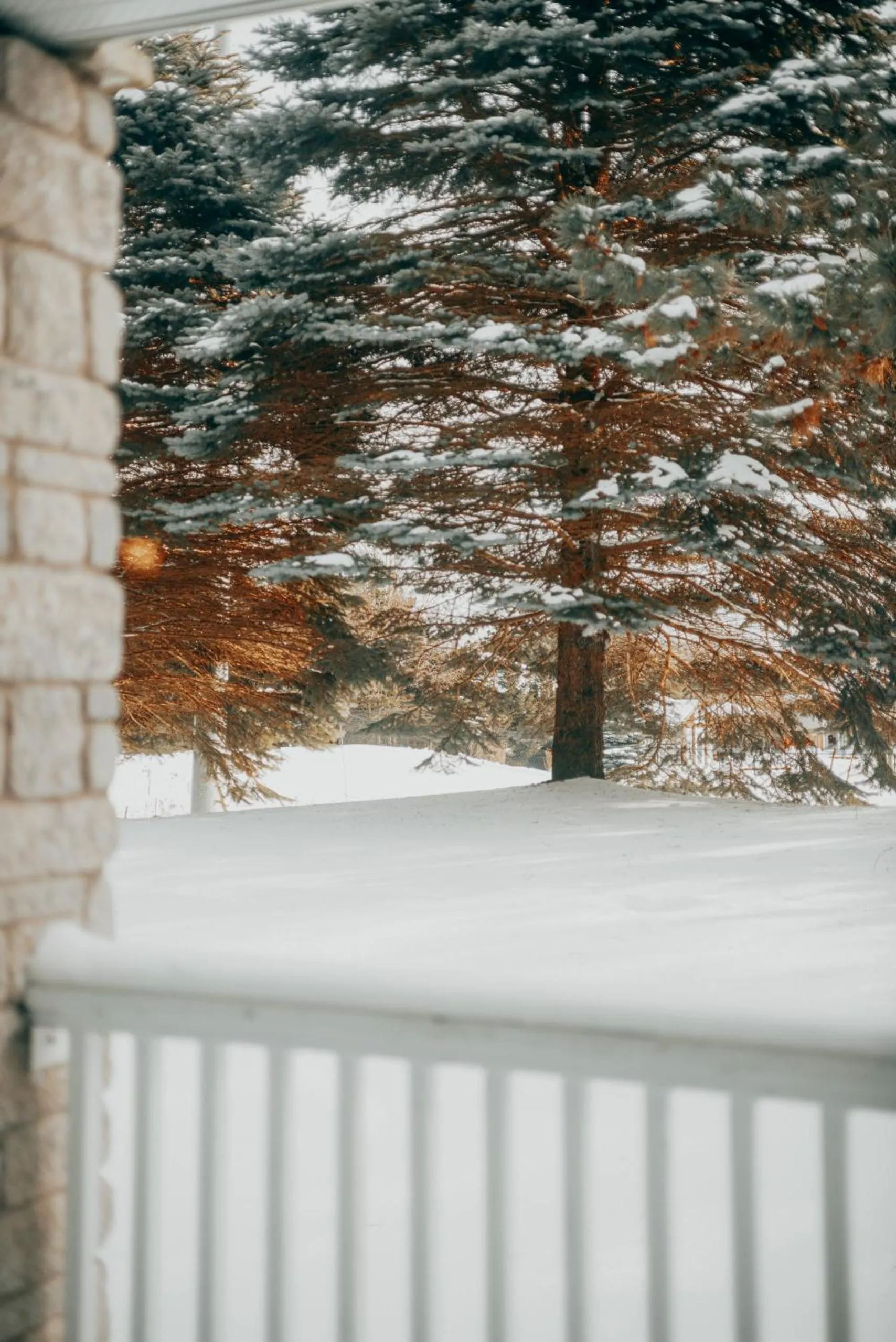 Horseshoe Valley Suites - The Glade