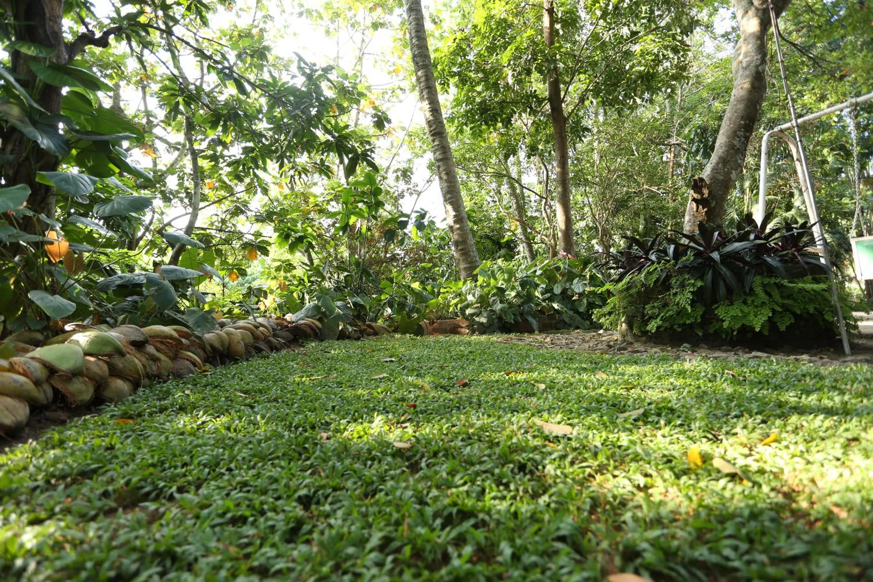 Garden in Tree Breeze Inn