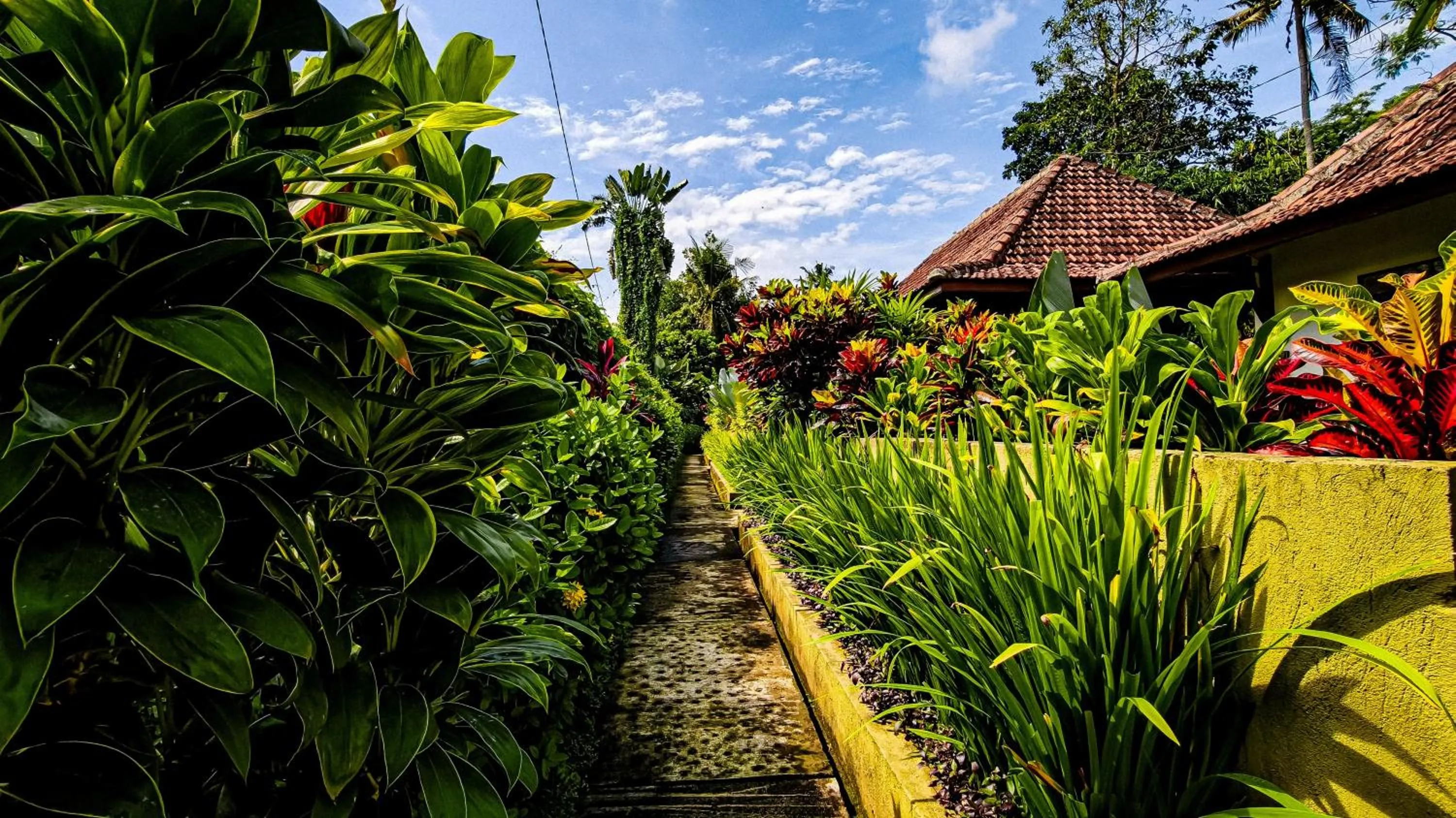 Garden view in Ubud Heaven Sayan