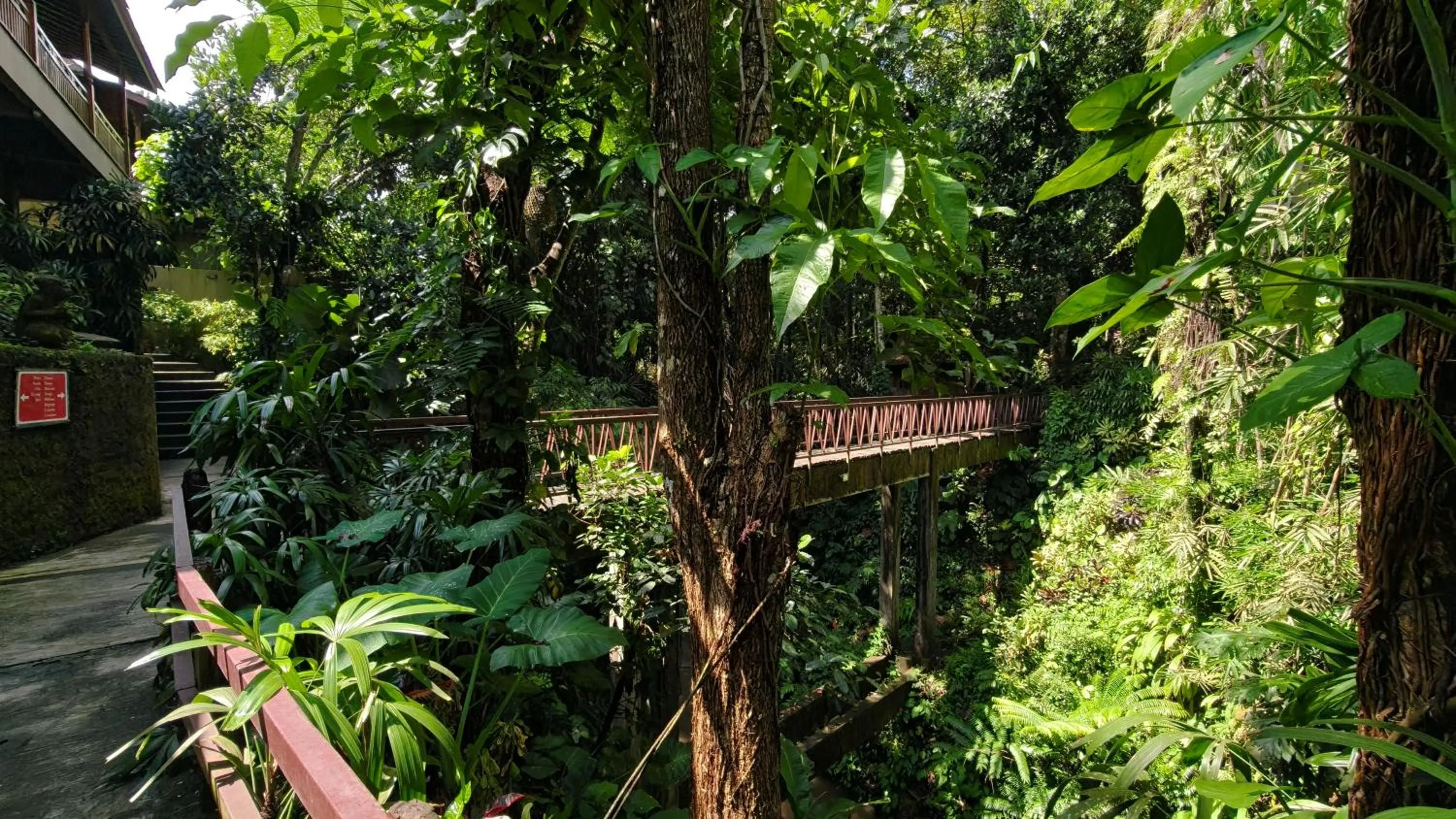 Natural landscape in Ubud Heaven Sayan