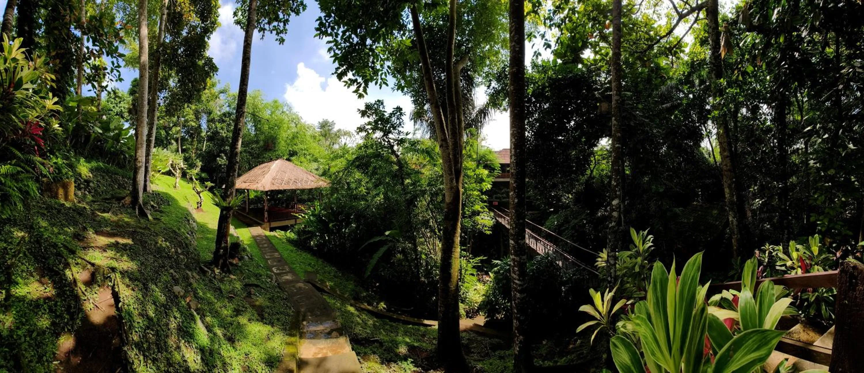 Natural landscape in Ubud Heaven Sayan