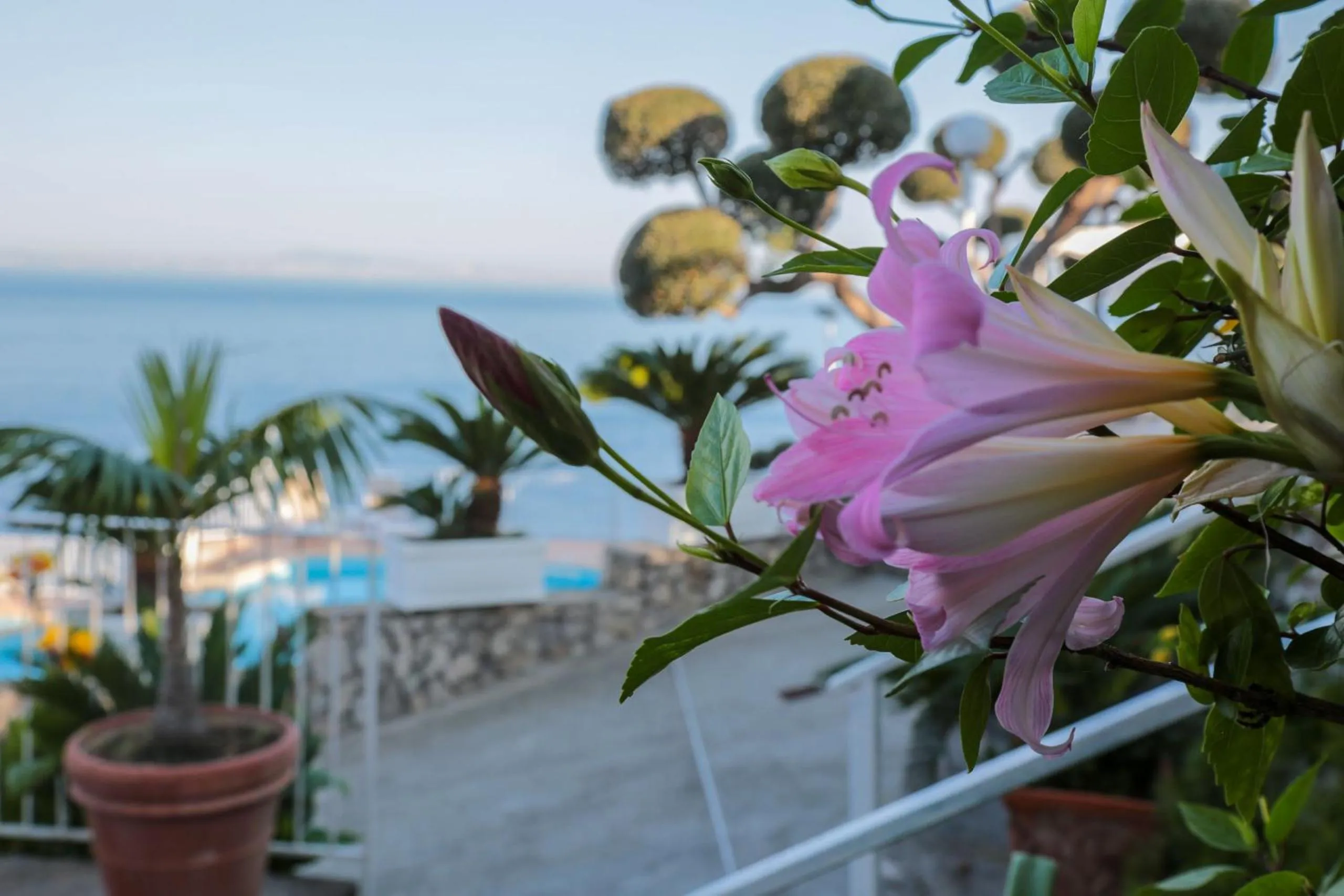 Hotel Villa Lubrense Sorrento
