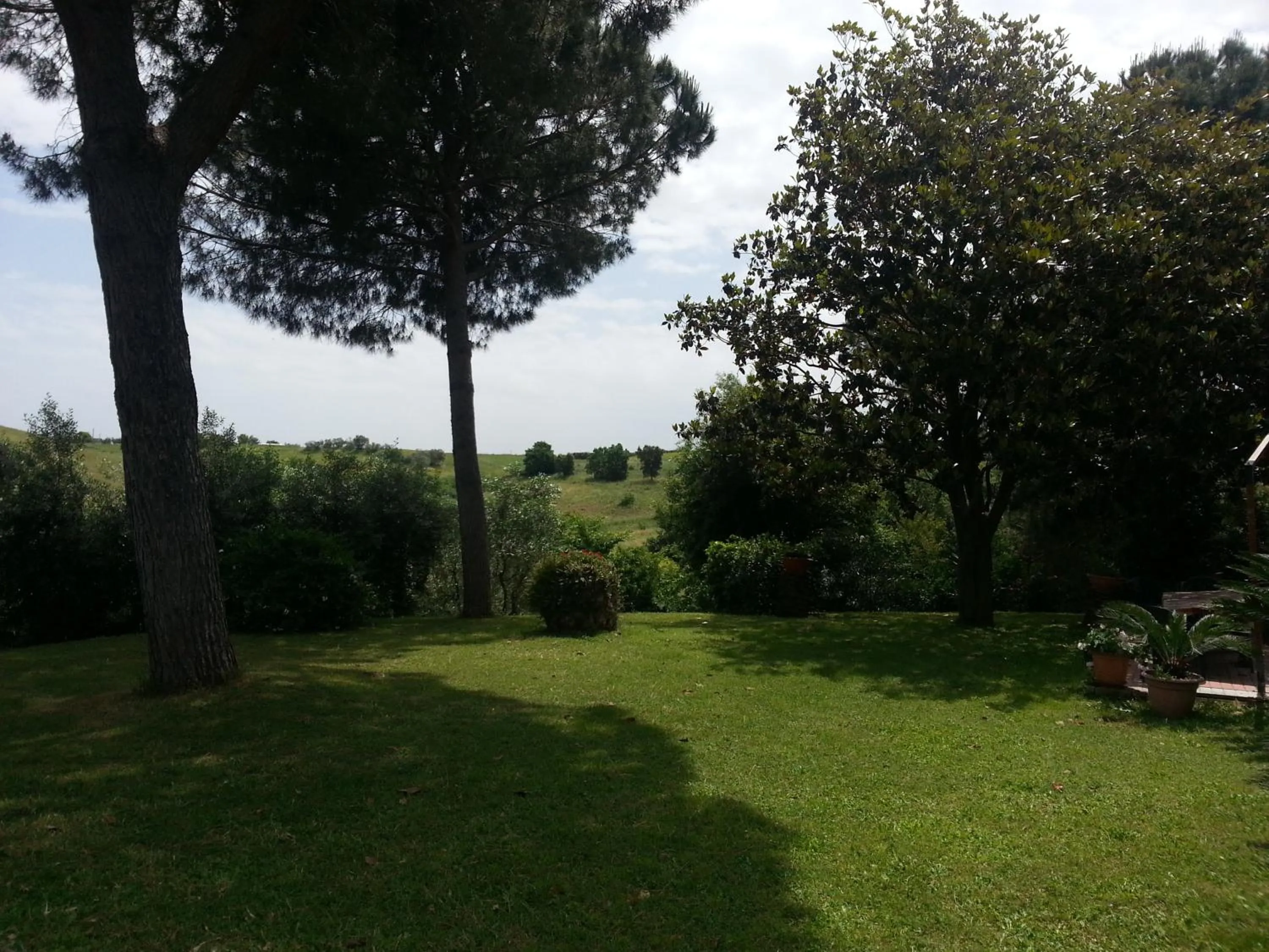 Garden in La Finestra Sul Cortile