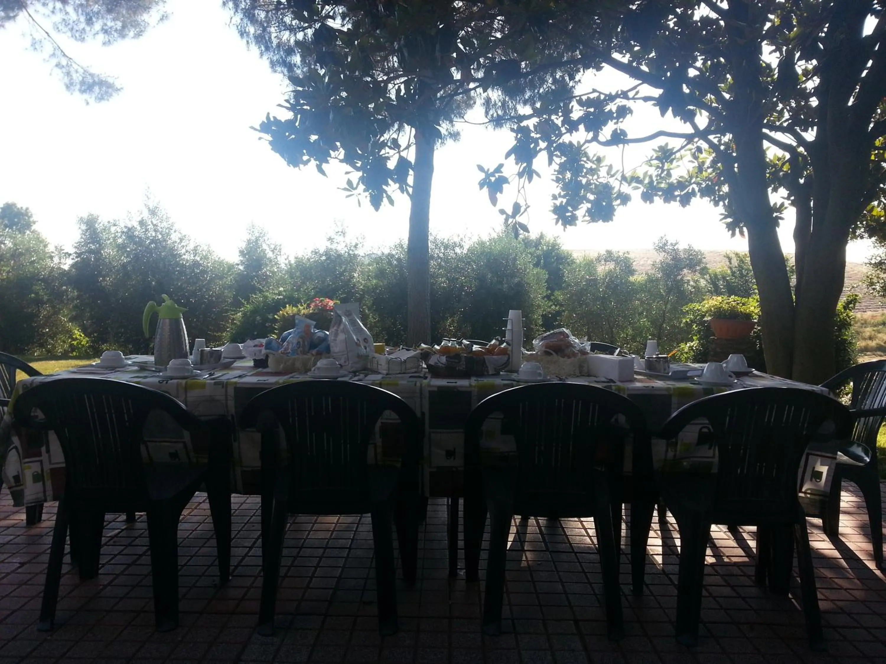 Garden in La Finestra Sul Cortile