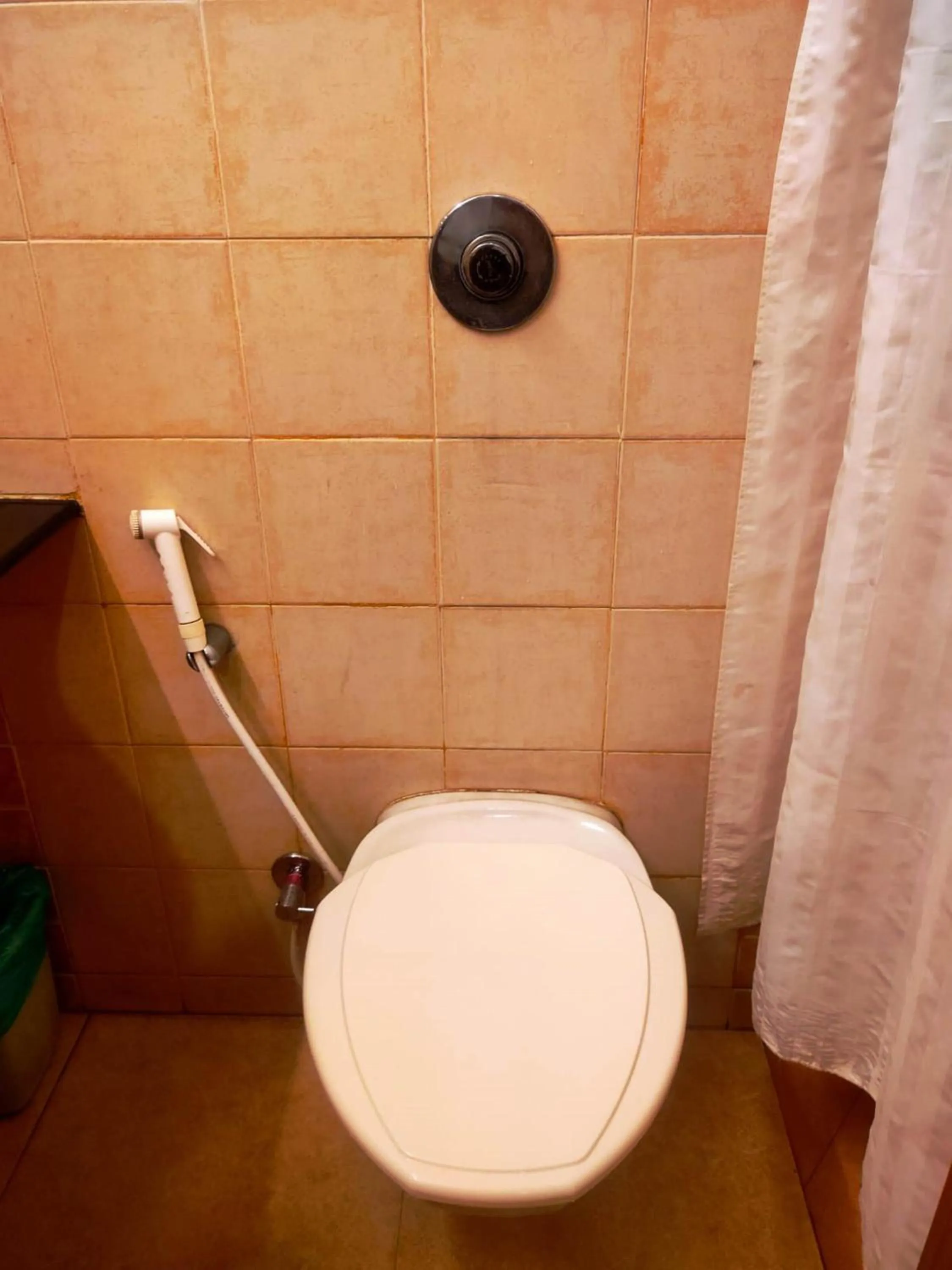 Toilet in Hotel Roopa