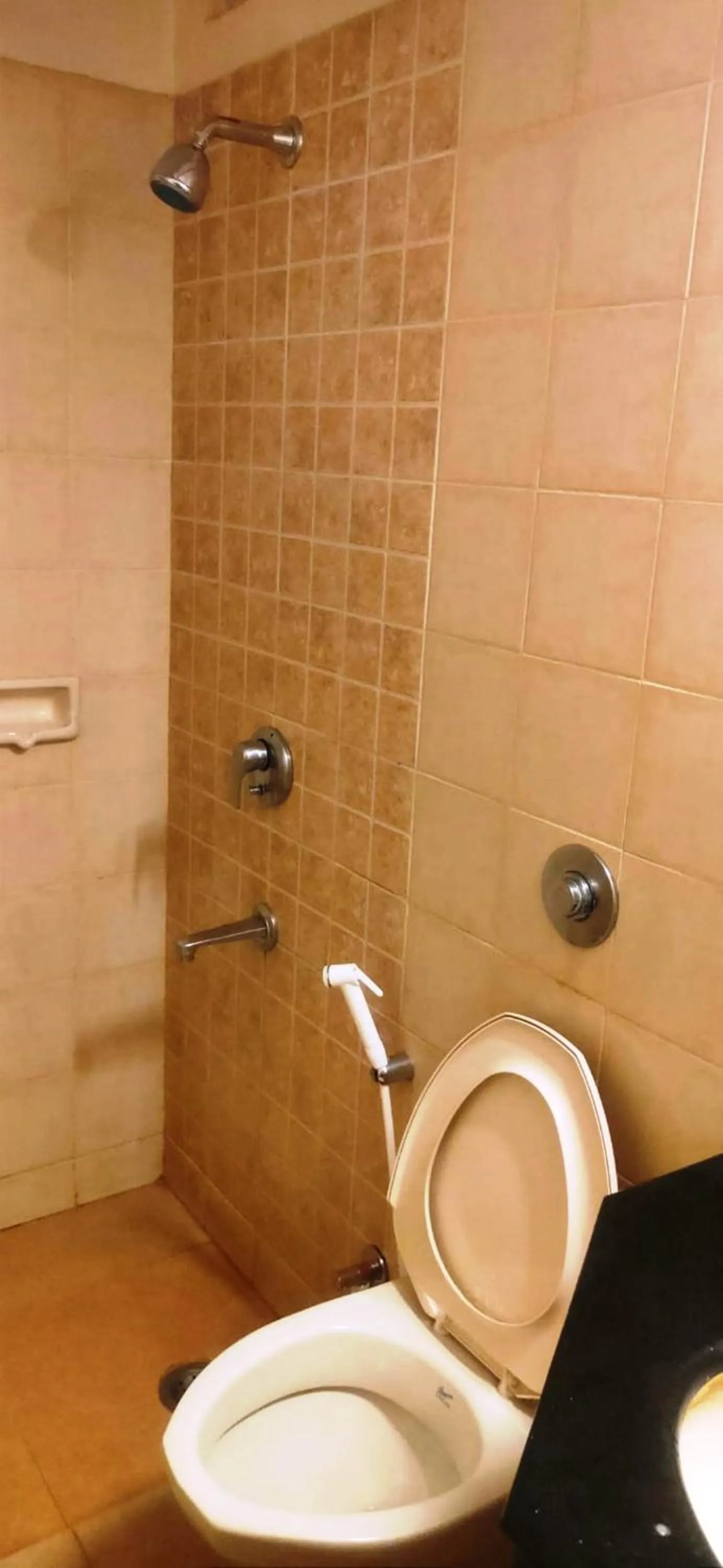 Toilet in Hotel Roopa