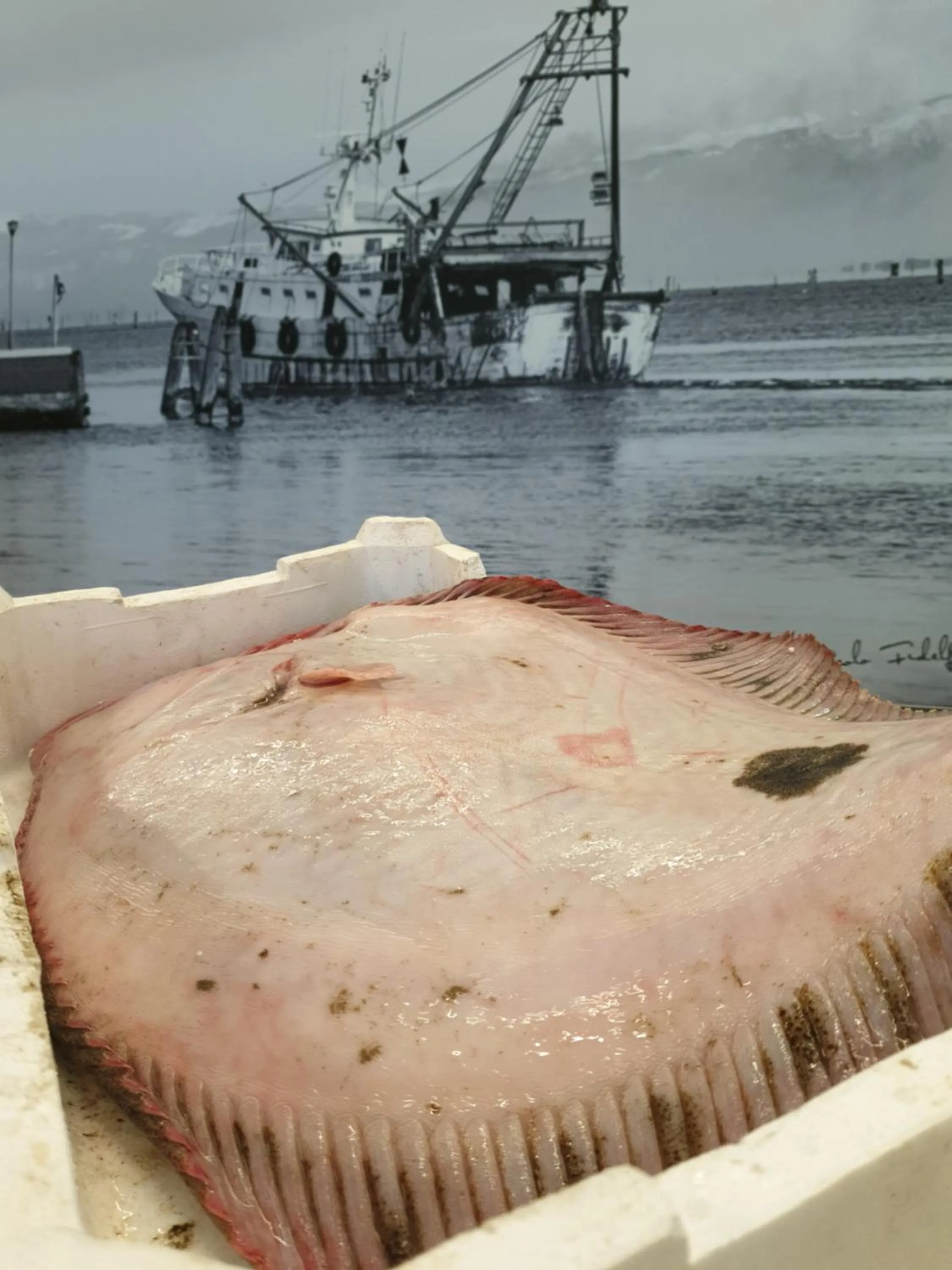 Restaurant/places to eat in Casa Mafalda