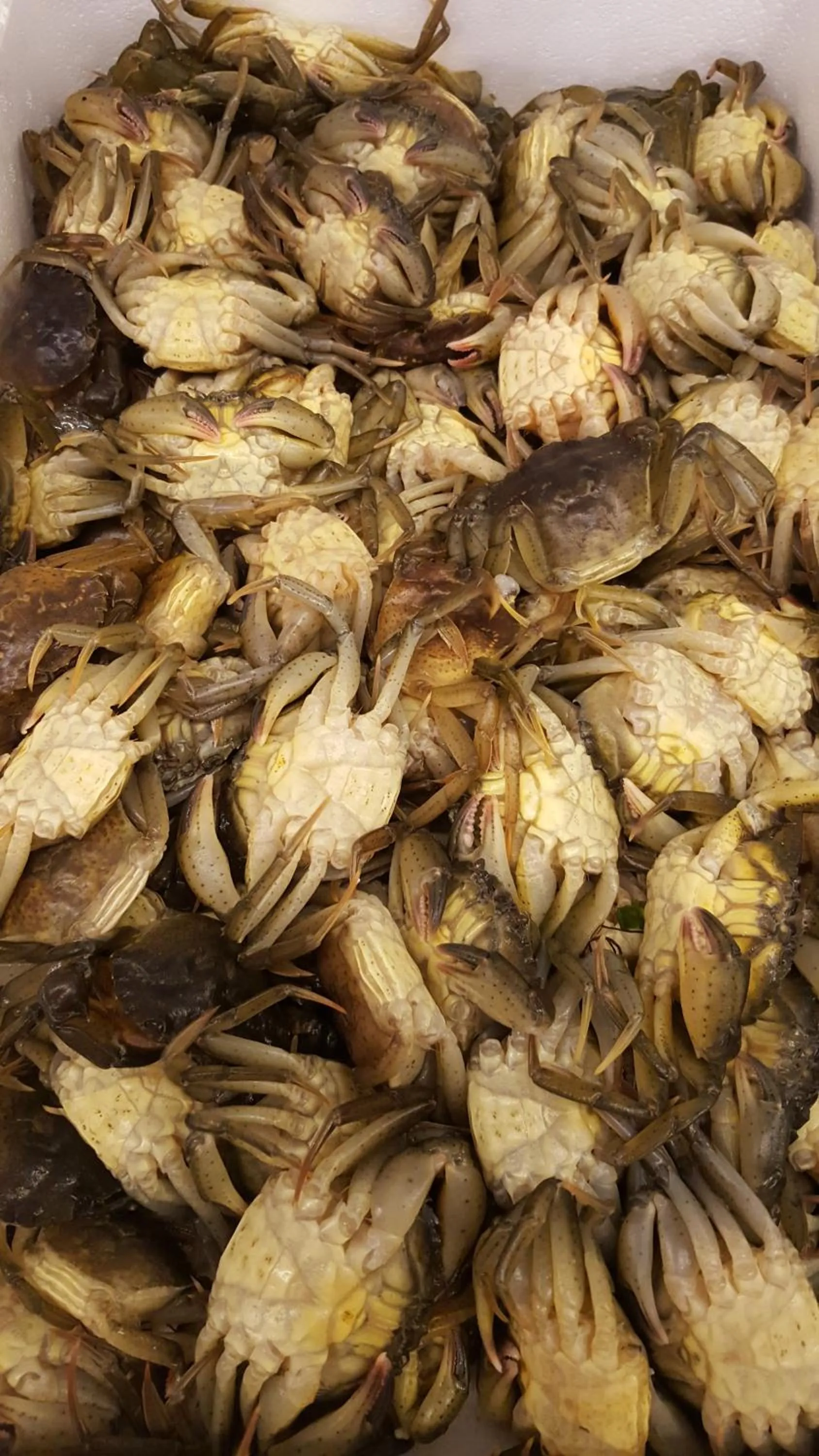 Food close-up in Casa Mafalda