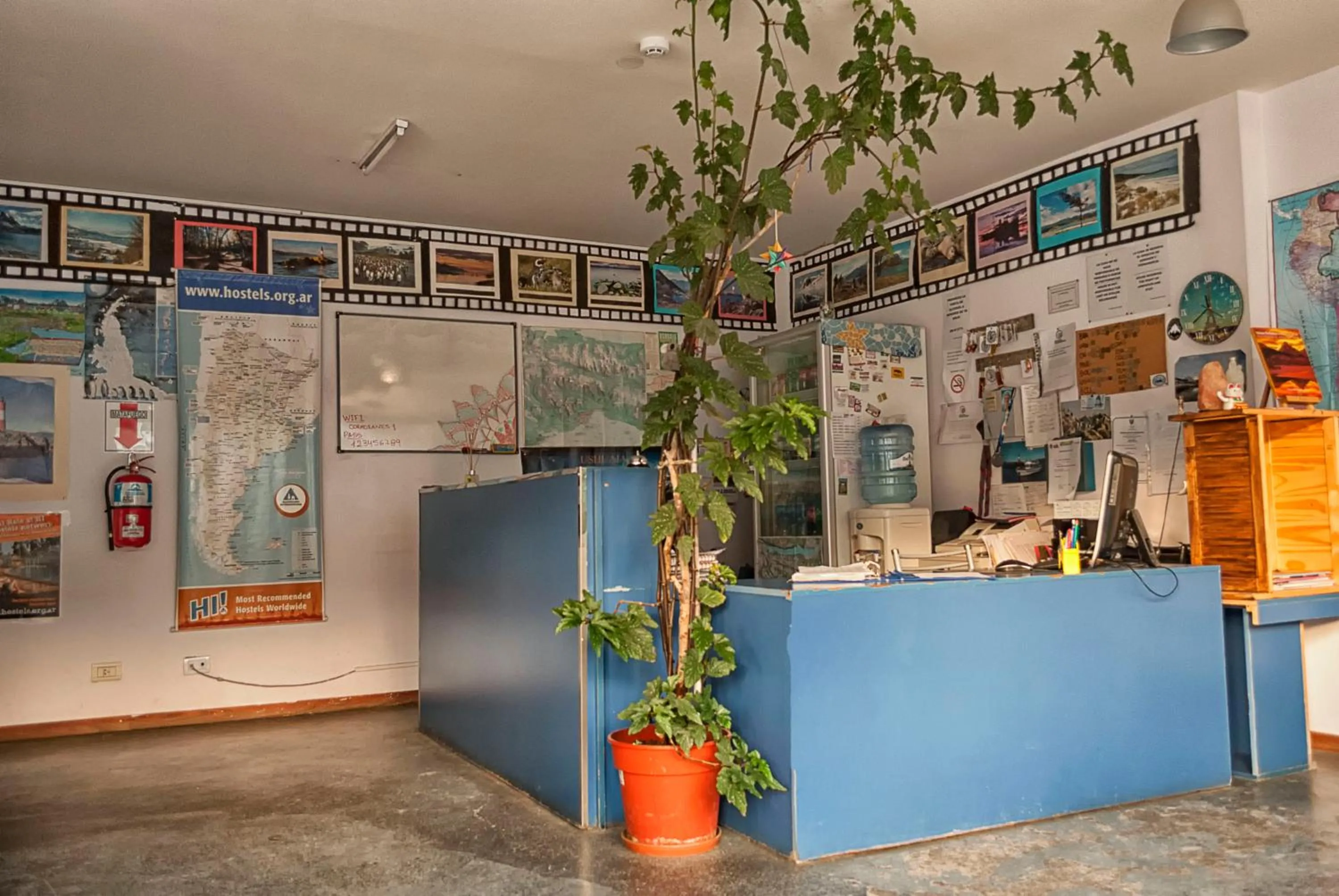 Lobby or reception in Hostel Los Cormoranes