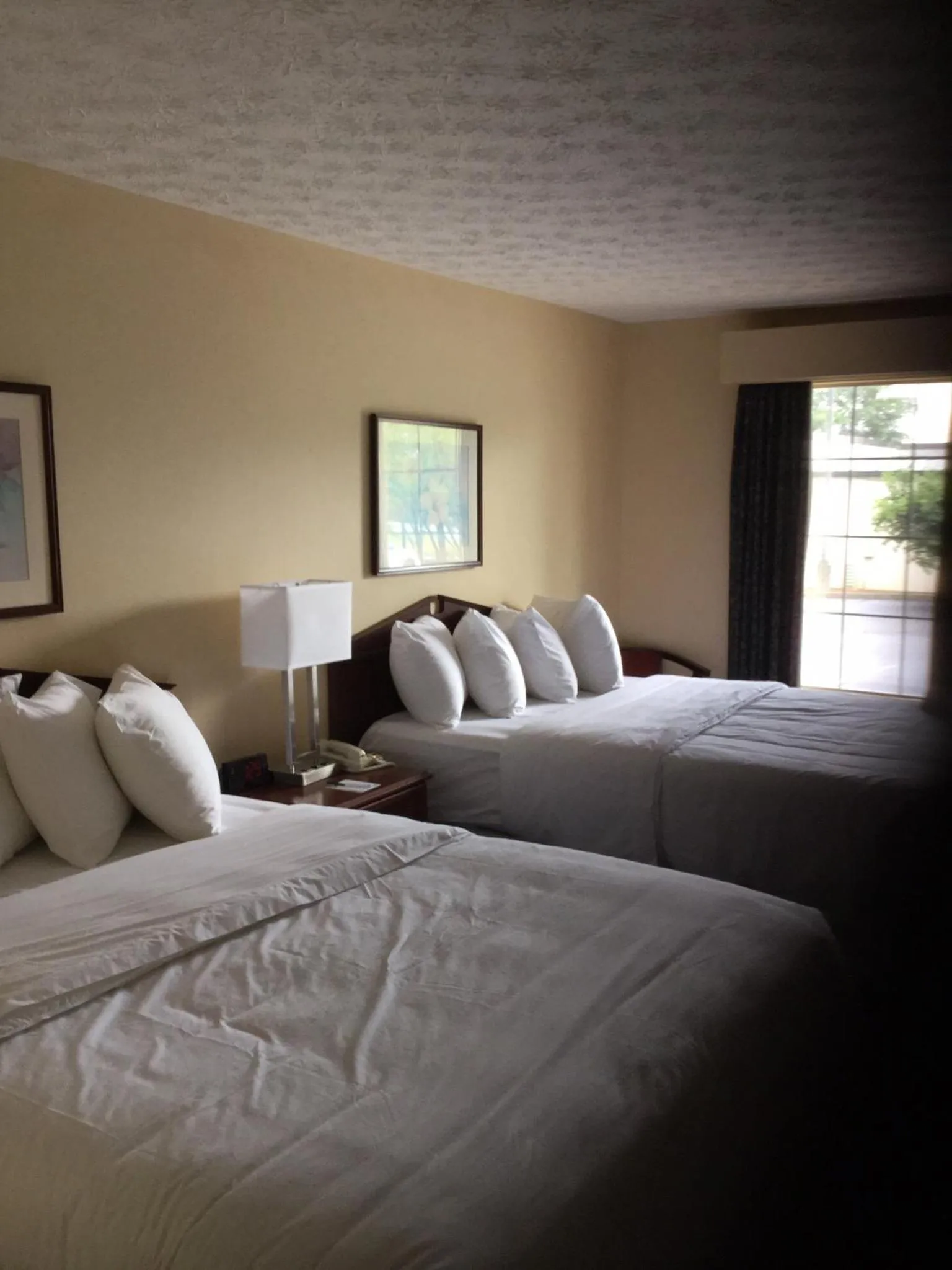 Bed in Quality Inn Hartwell