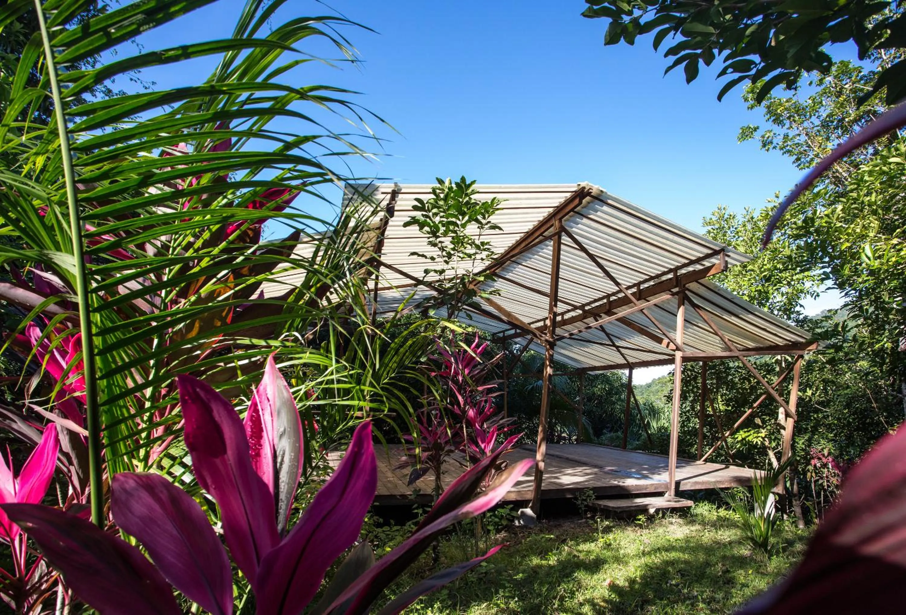 Activities in Omega Tours Eco-Jungle Lodge