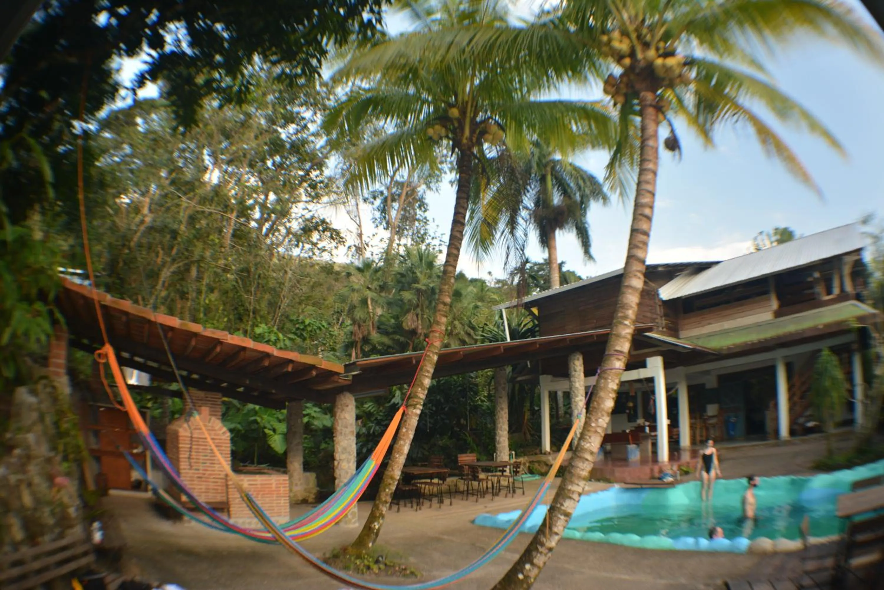 Meals in Omega Tours Eco-Jungle Lodge