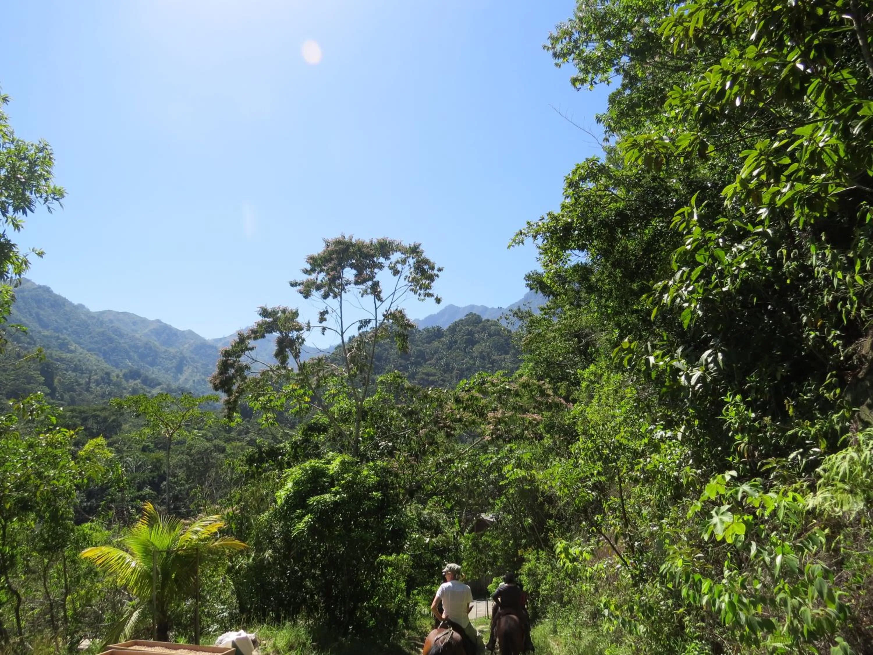 Horse-riding in Omega Tours Eco-Jungle Lodge