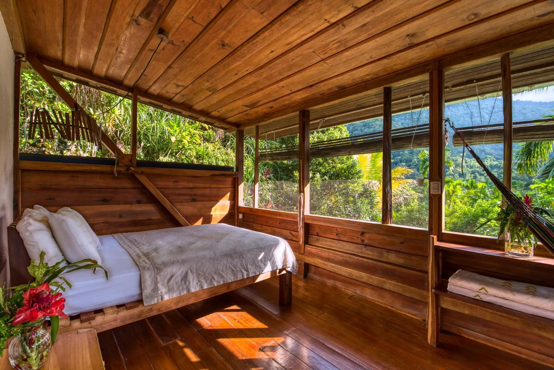 Natural landscape in Omega Tours Eco-Jungle Lodge