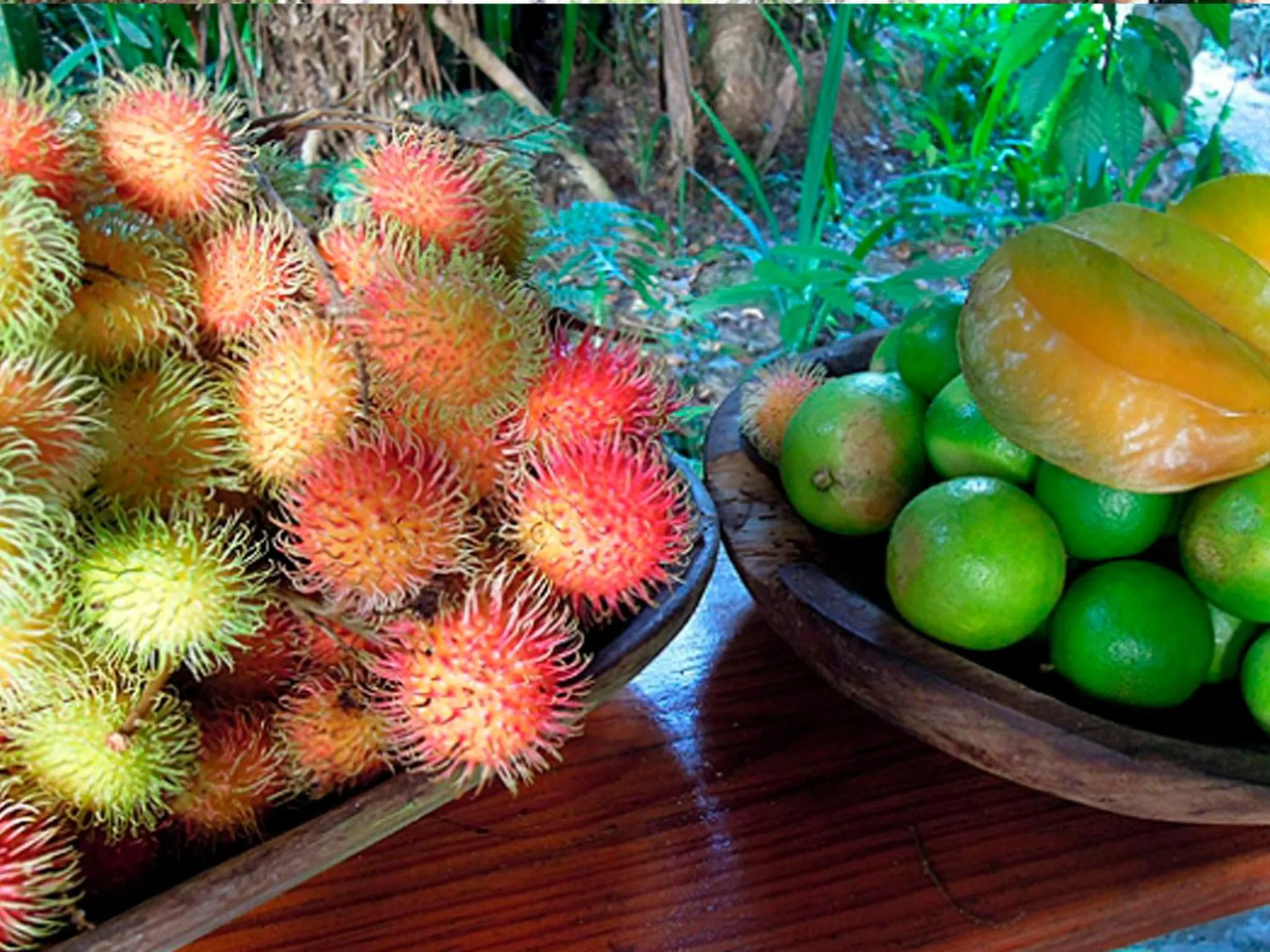 Restaurant/places to eat in Omega Tours Eco-Jungle Lodge