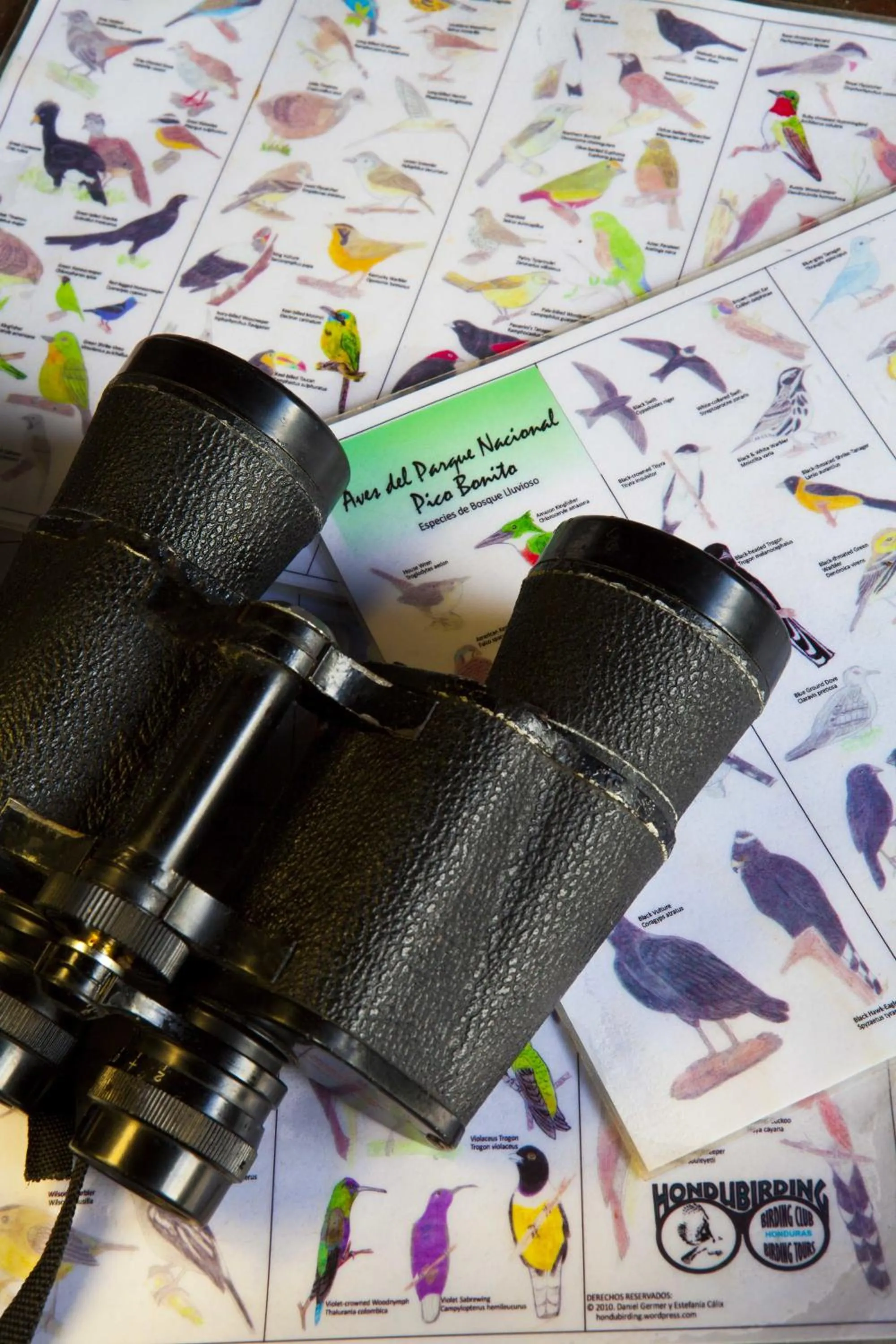 Activities in Omega Tours Eco-Jungle Lodge