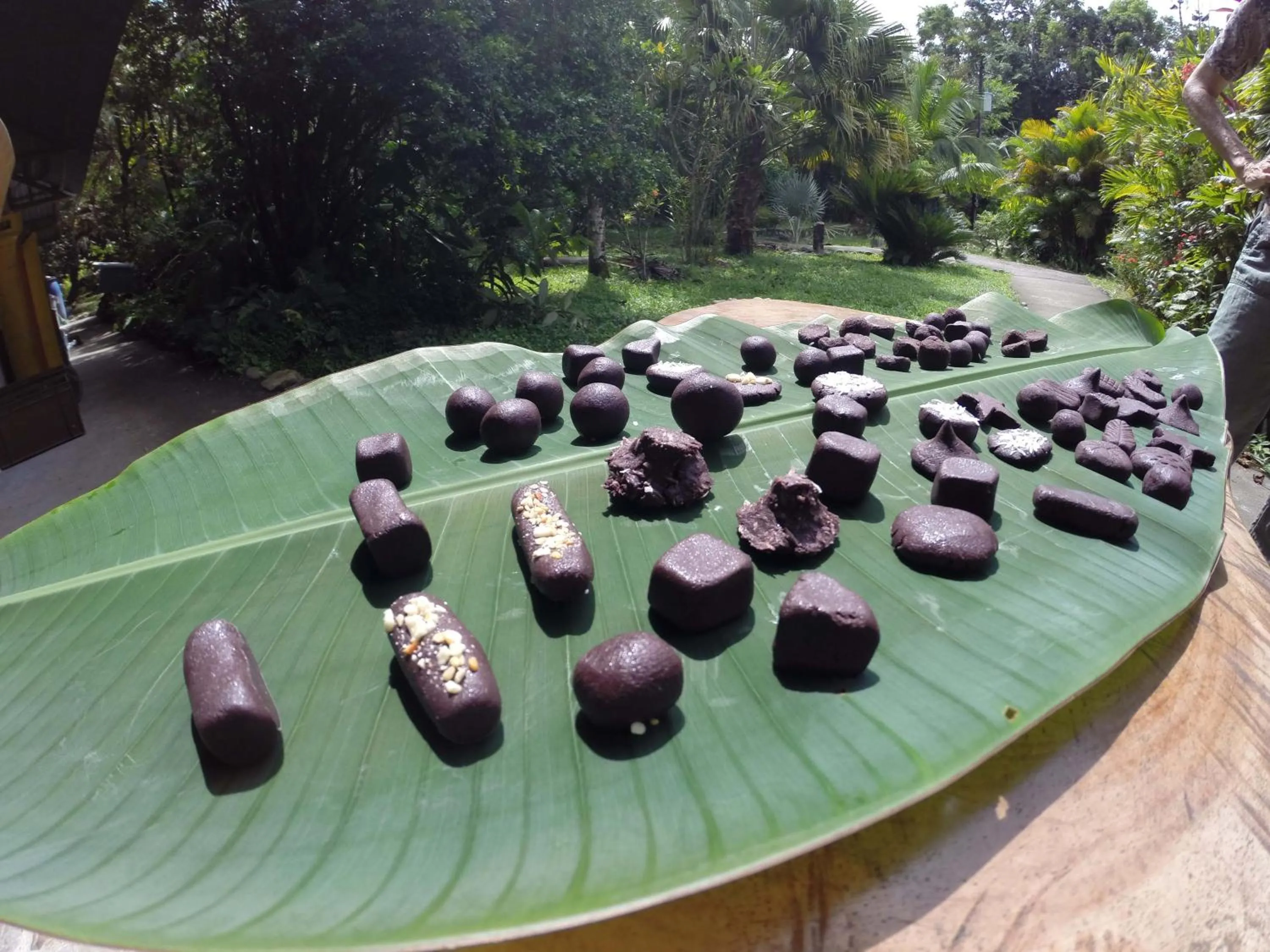 Restaurant/places to eat in Omega Tours Eco-Jungle Lodge