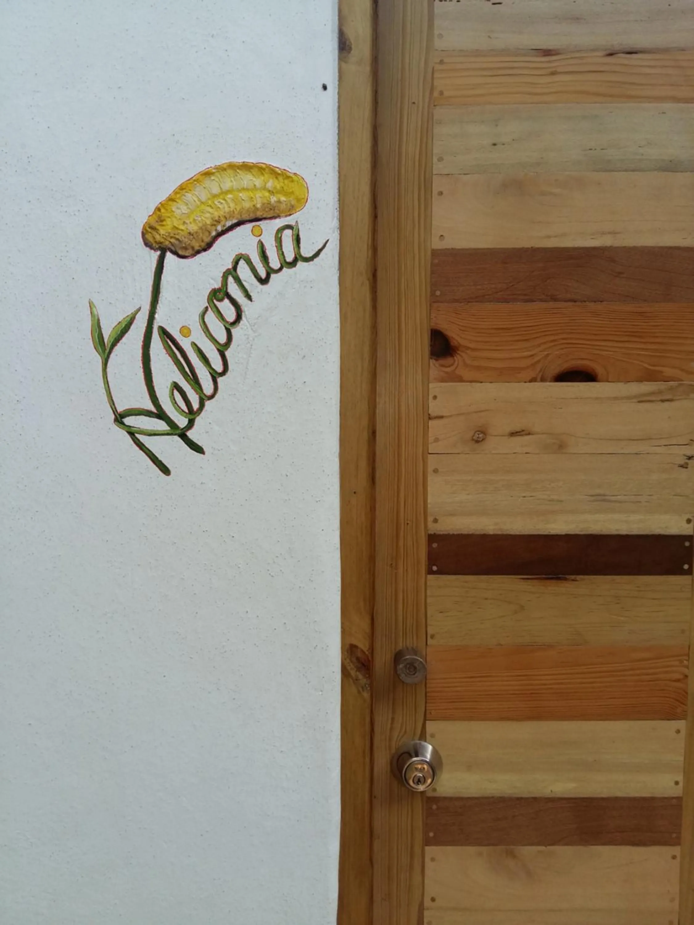 Day in Omega Tours Eco-Jungle Lodge