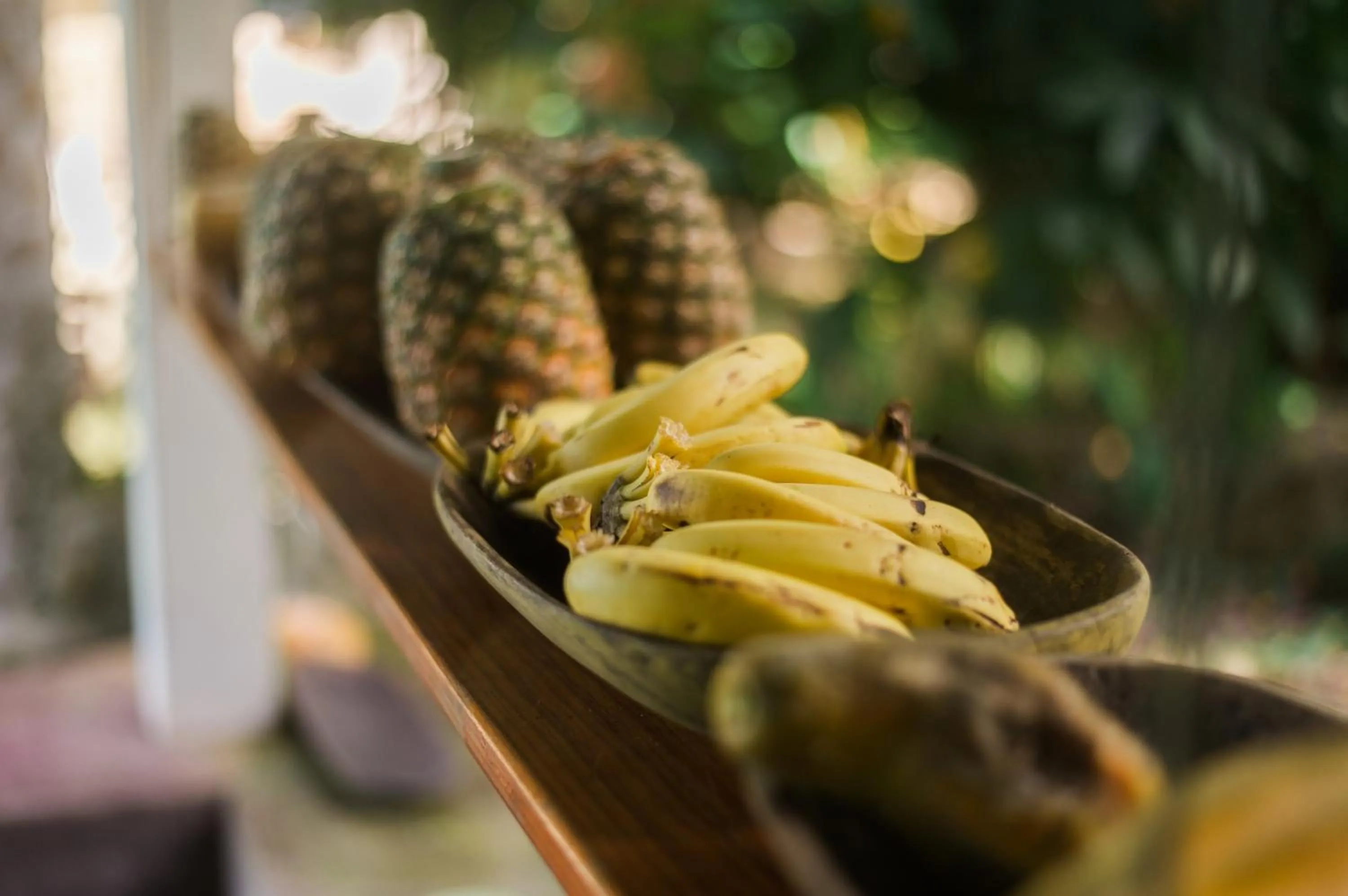 Restaurant/places to eat in Omega Tours Eco-Jungle Lodge