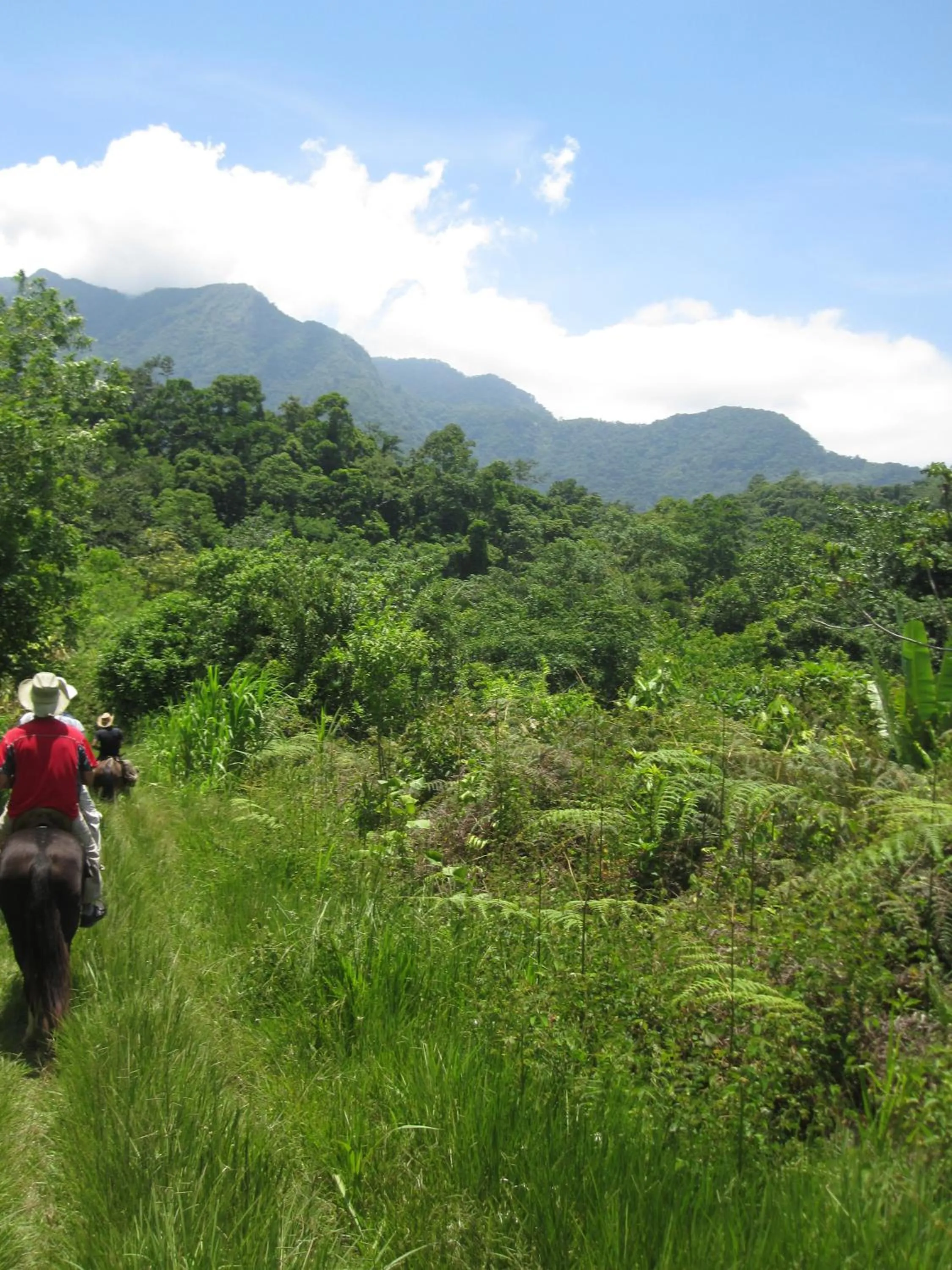 Day in Omega Tours Eco-Jungle Lodge