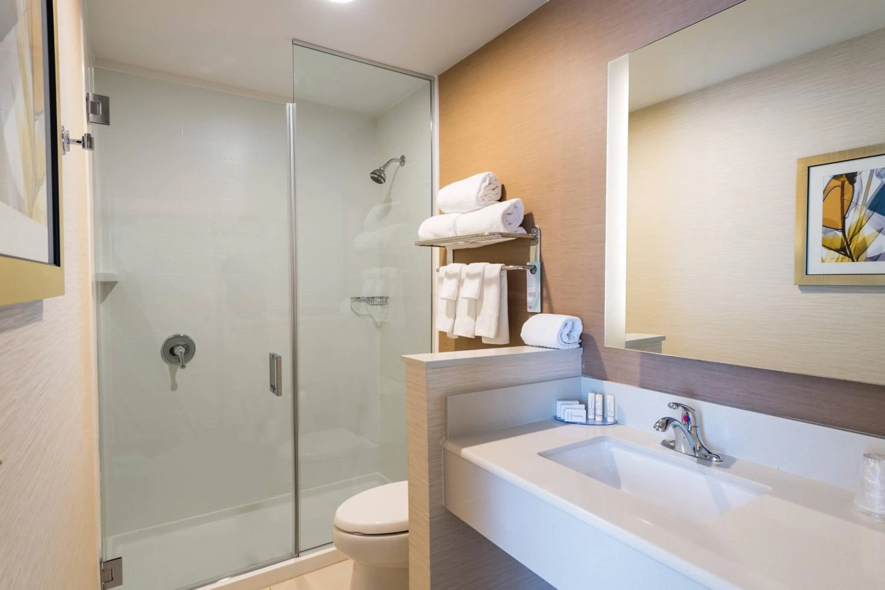 Bathroom in Fairfield by Marriott Inn & Suites Uncasville Mohegan Sun Area