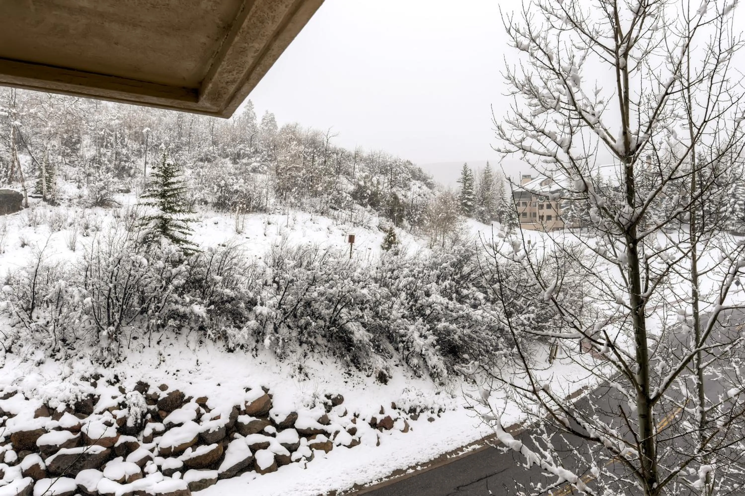 Mountain view in St James Beaver Creek, A Vail Resorts Property