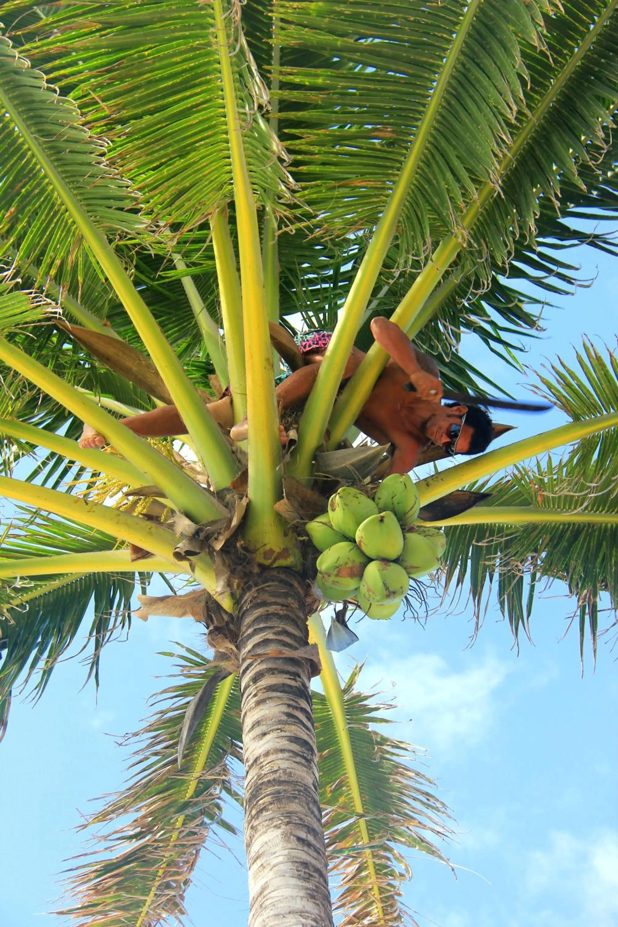 Neighbourhood in Nautilus Resort
