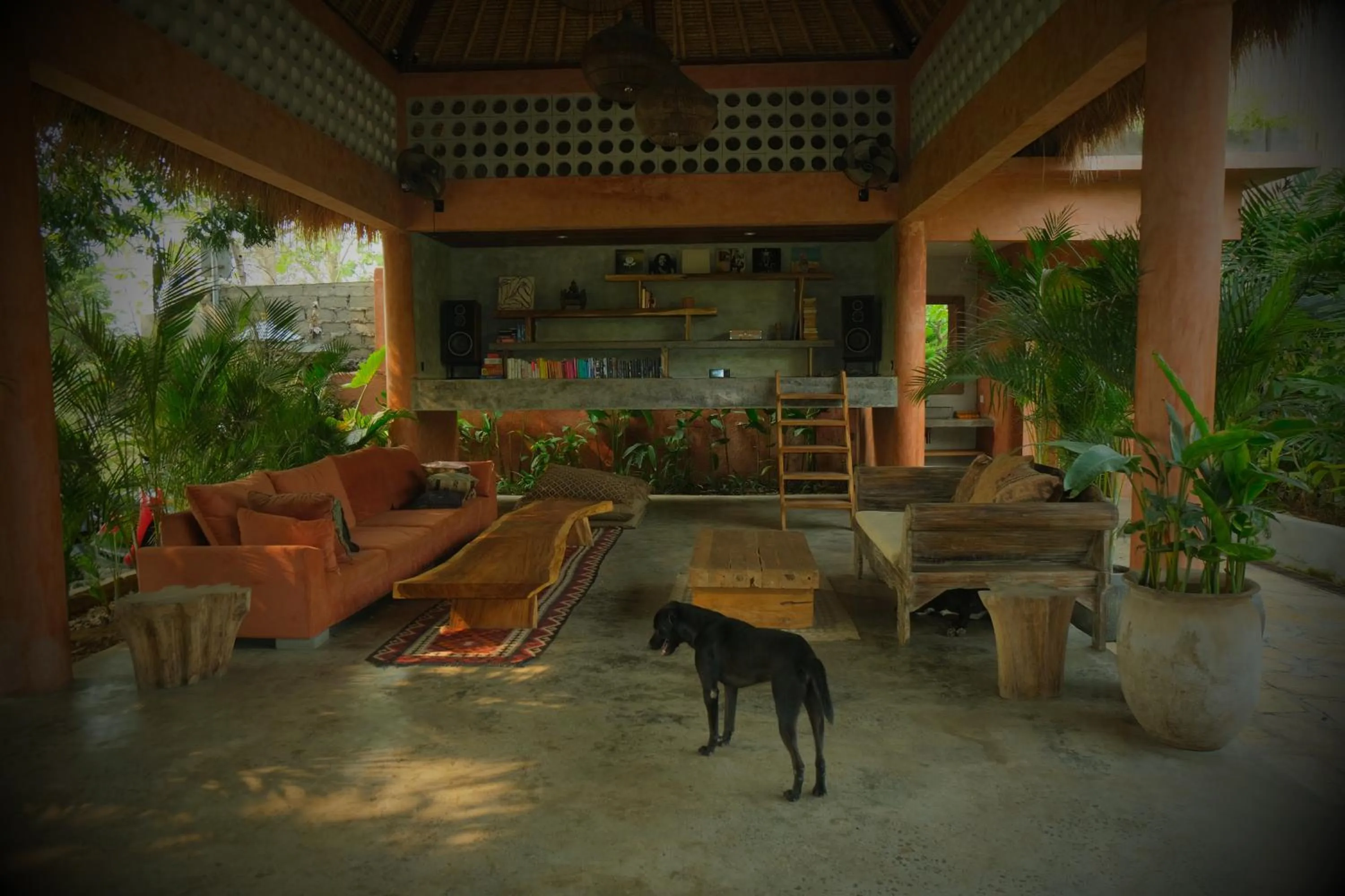 Library in Lulu's Villas