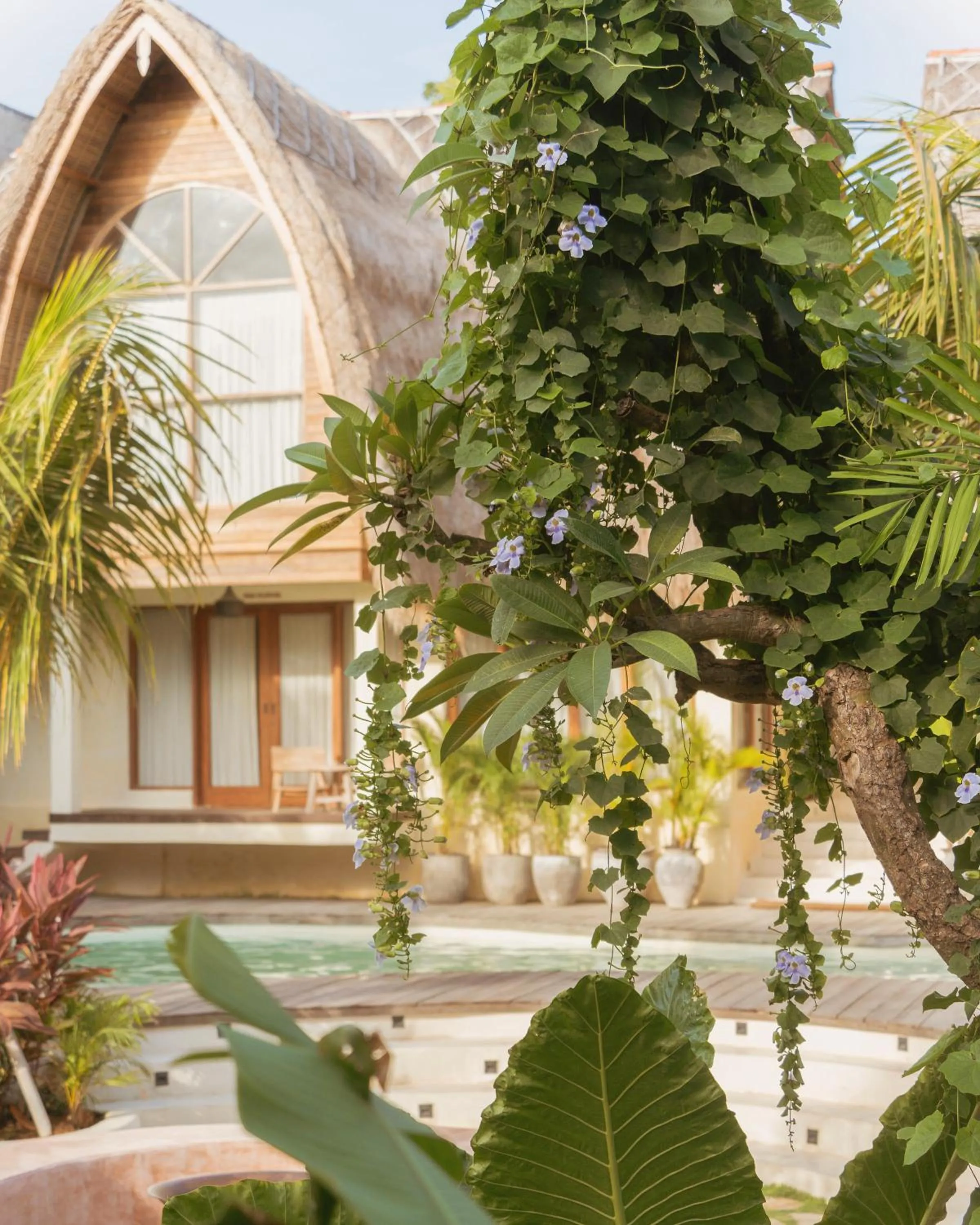 Property building in Lulu's Villas