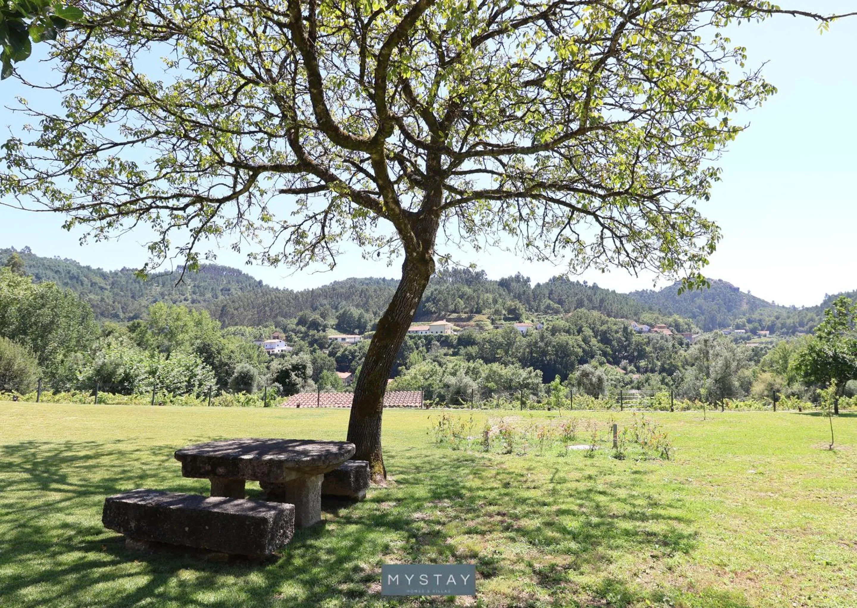 Garden in MyStay - Casa d'Henrique