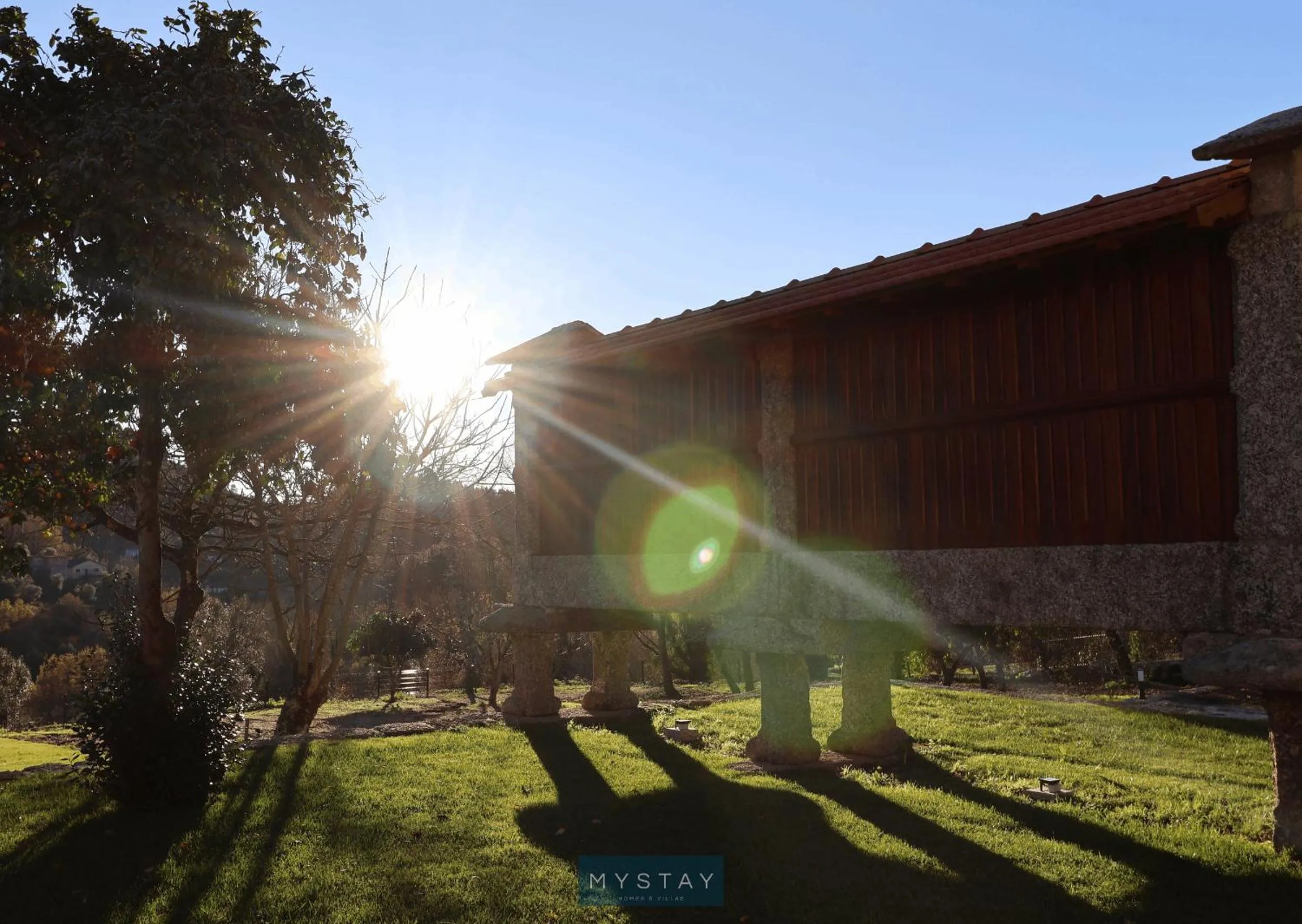 Garden in MyStay - Casa d'Henrique