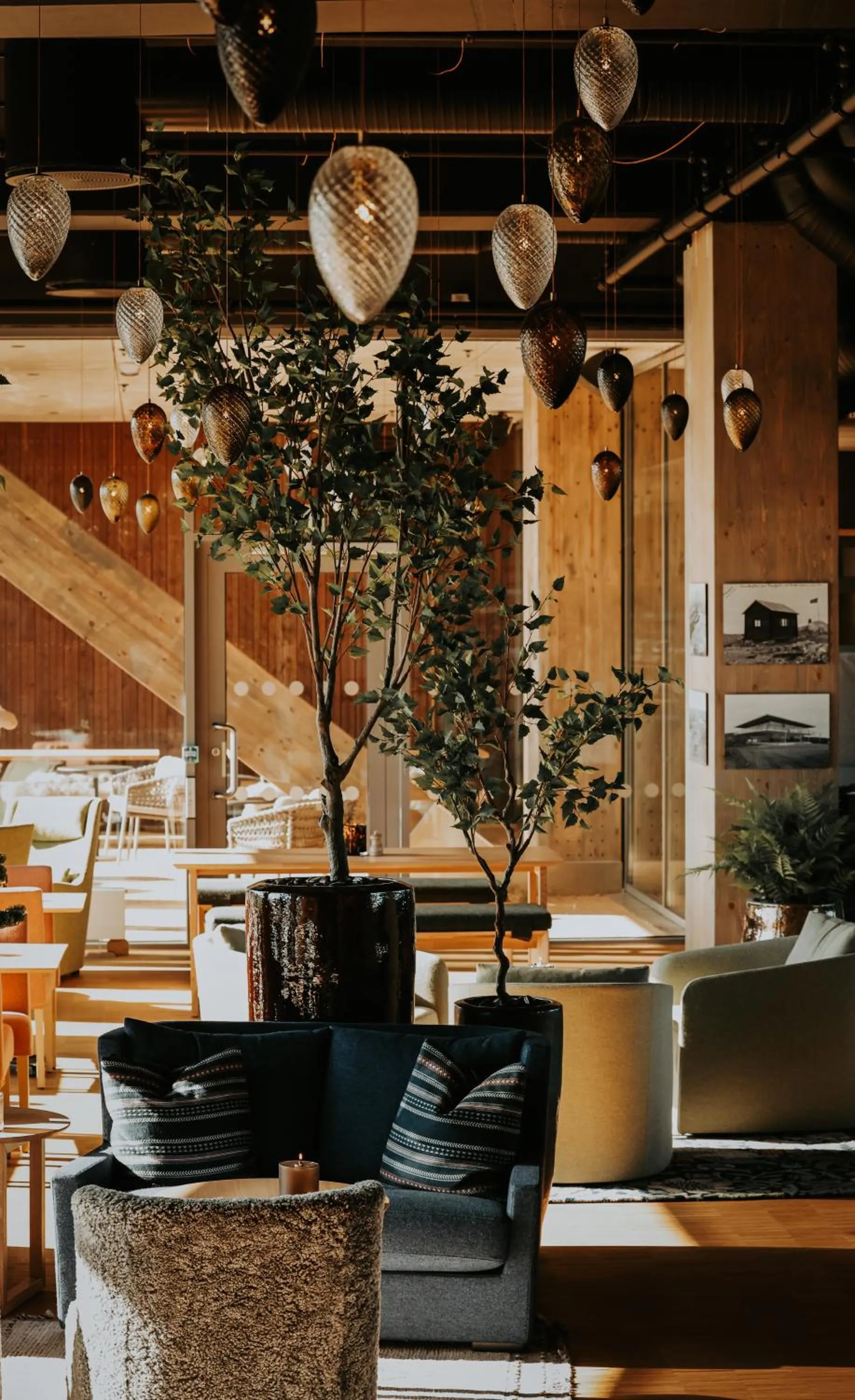 Restaurant/places to eat in Wood Hotel Bodø