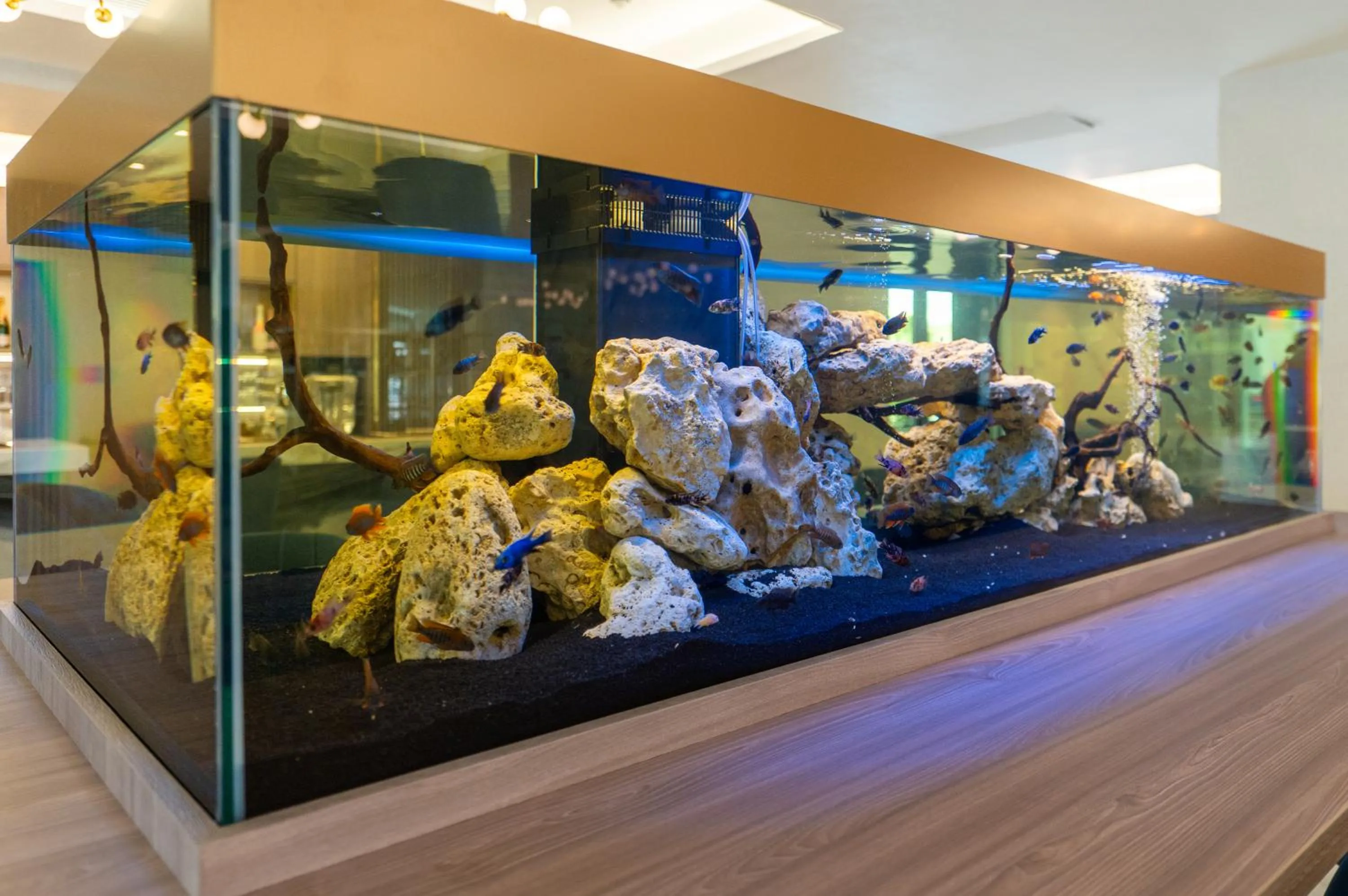 Animals in Crowne Plaza Constanta - Mamaia Beach by IHG