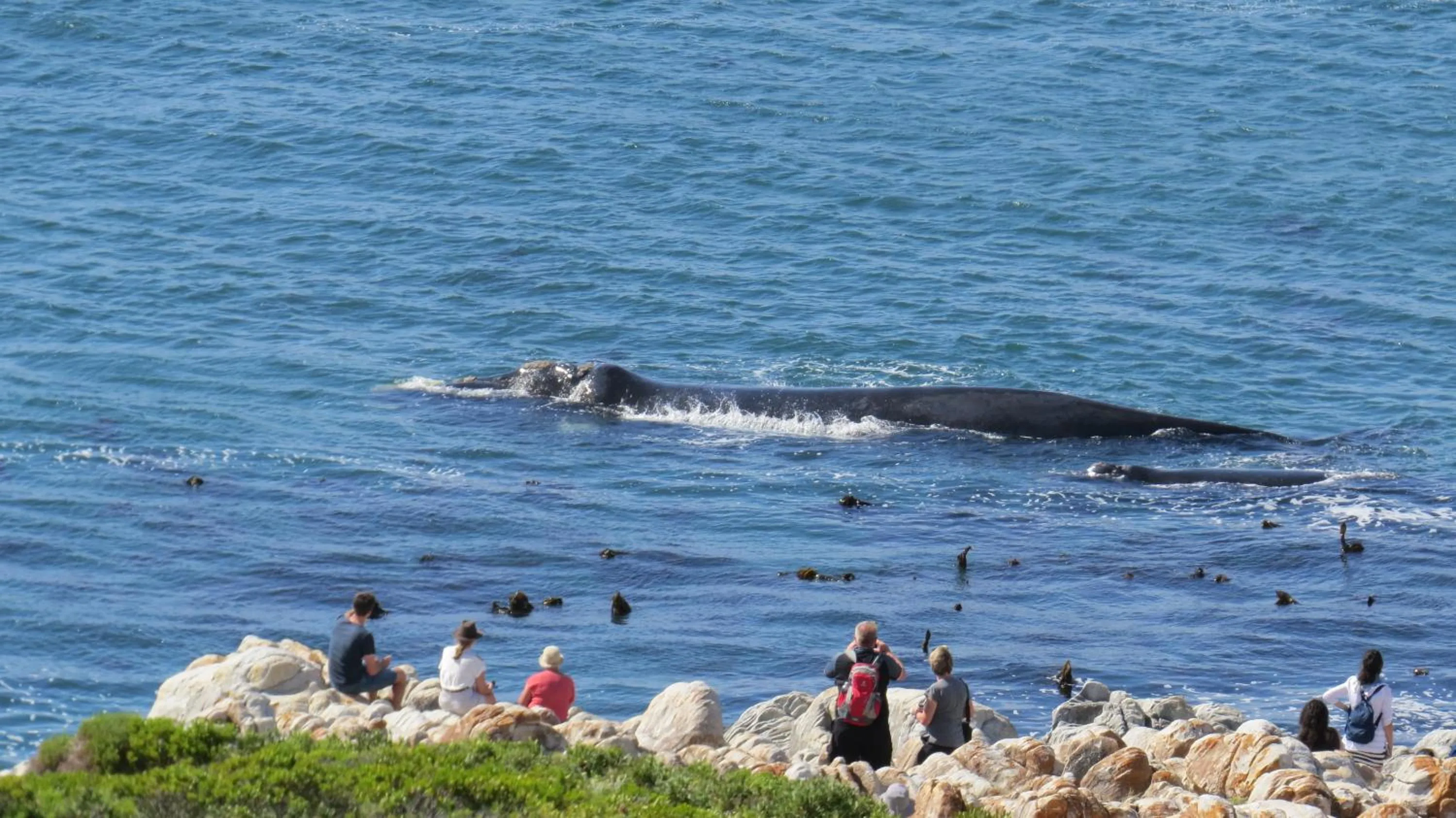 View (from property/room) in 65onCliff