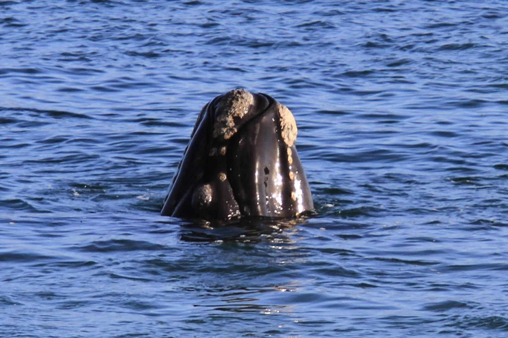 View (from property/room) in 65onCliff