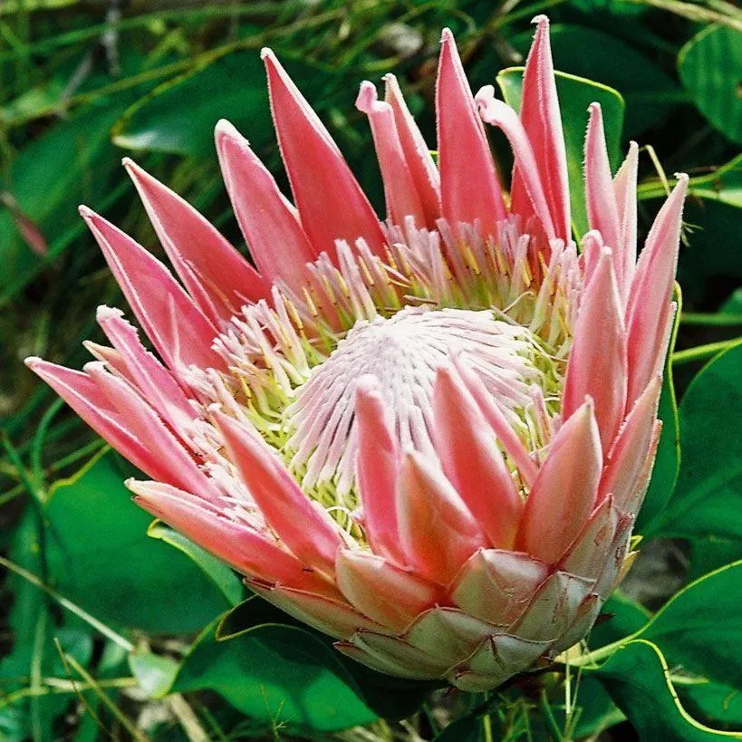 Natural landscape in 65onCliff