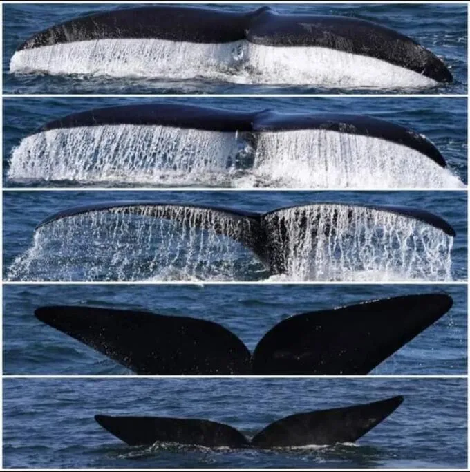 Natural landscape in 65onCliff