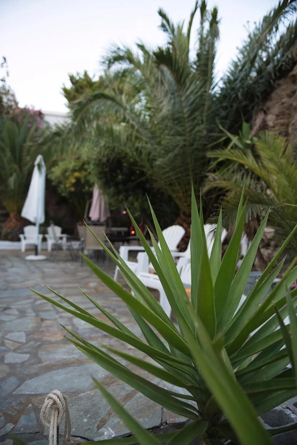 Villa Fiamegou Andros