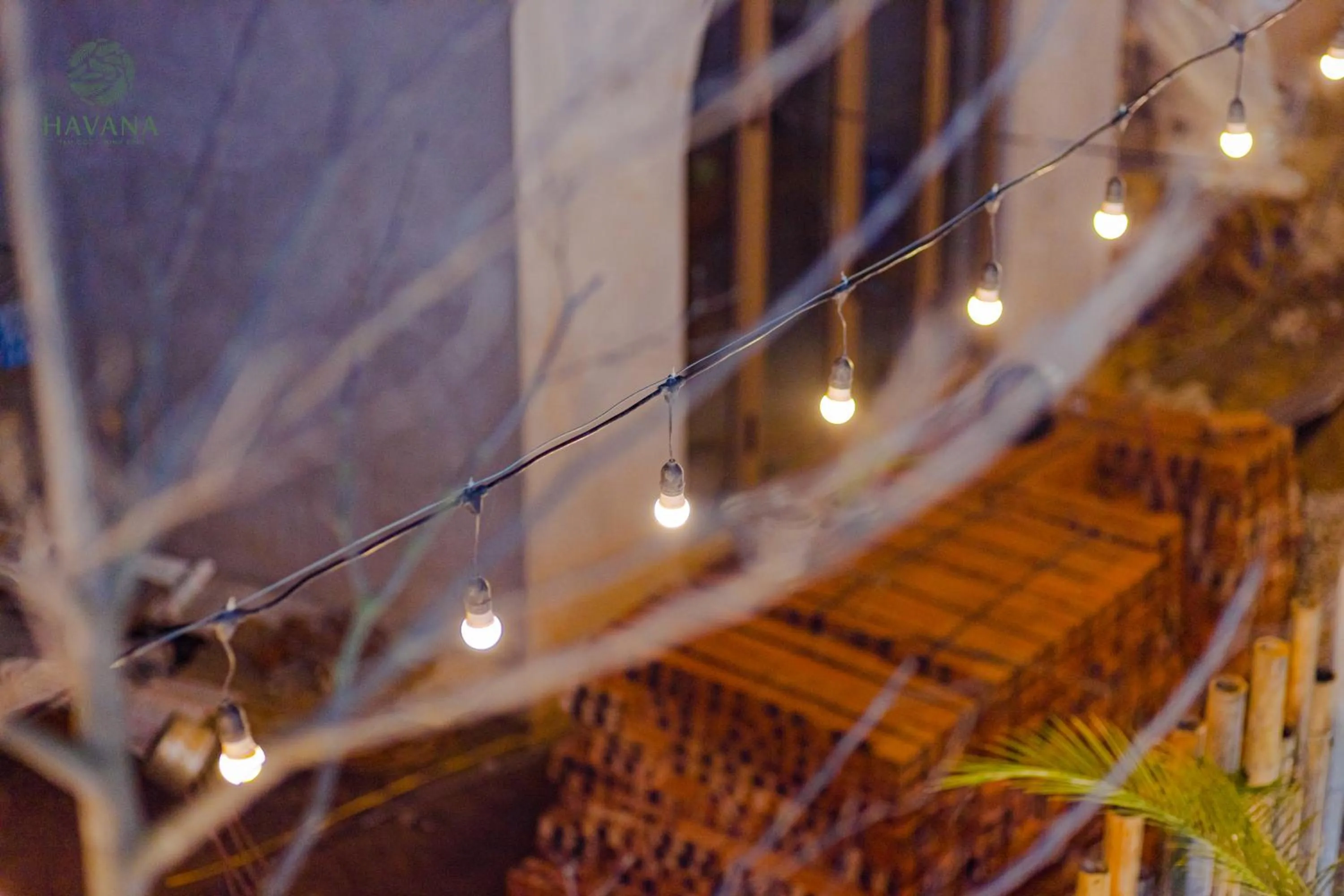 Havana Tam Coc Ninh Binh