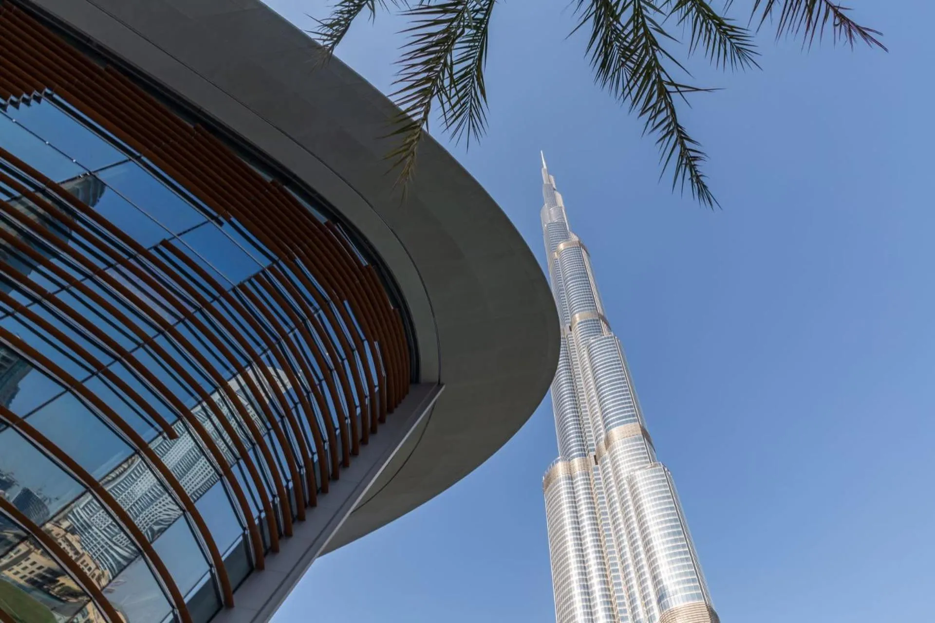 Frank Porter - Stand Point