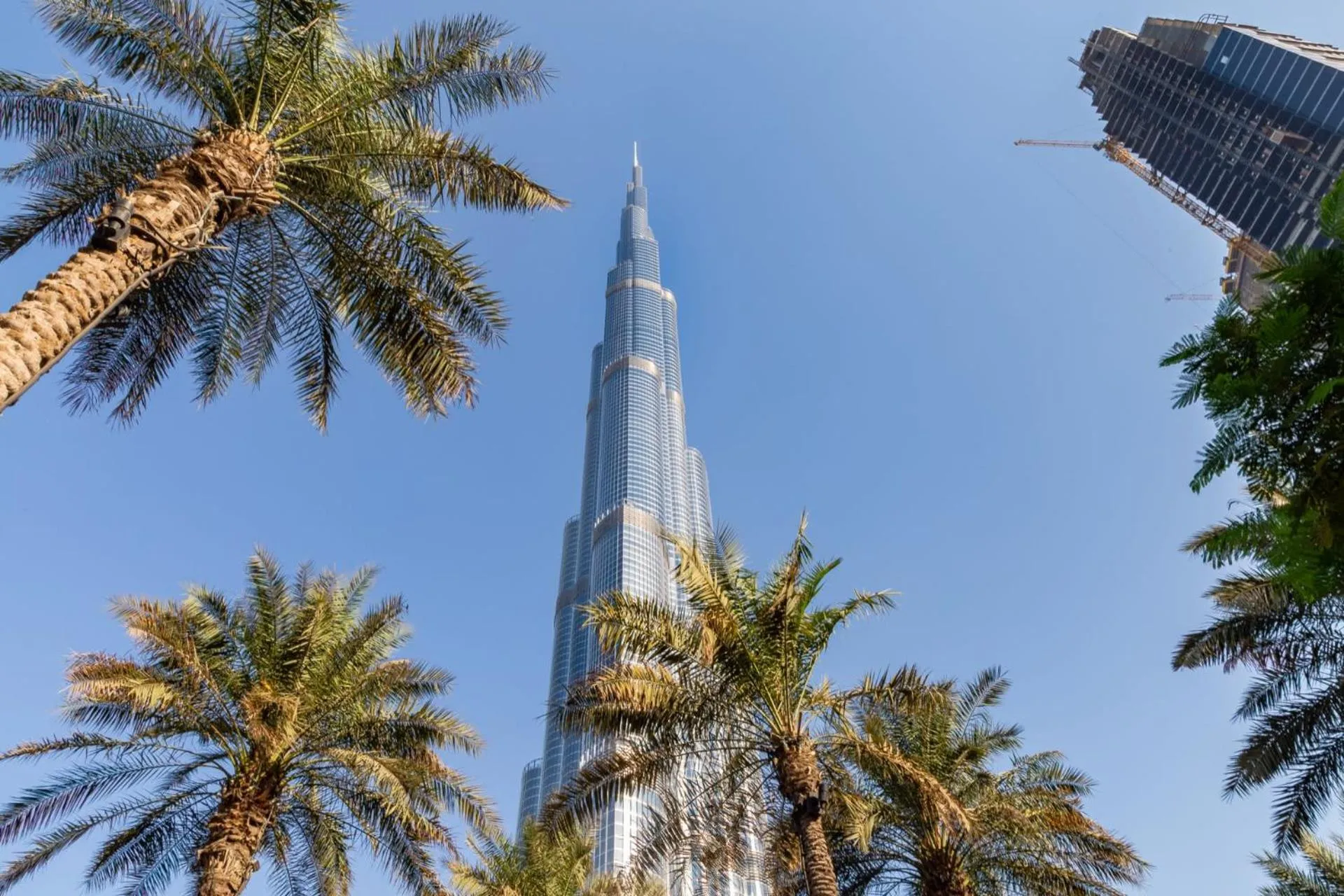 Frank Porter - Stand Point