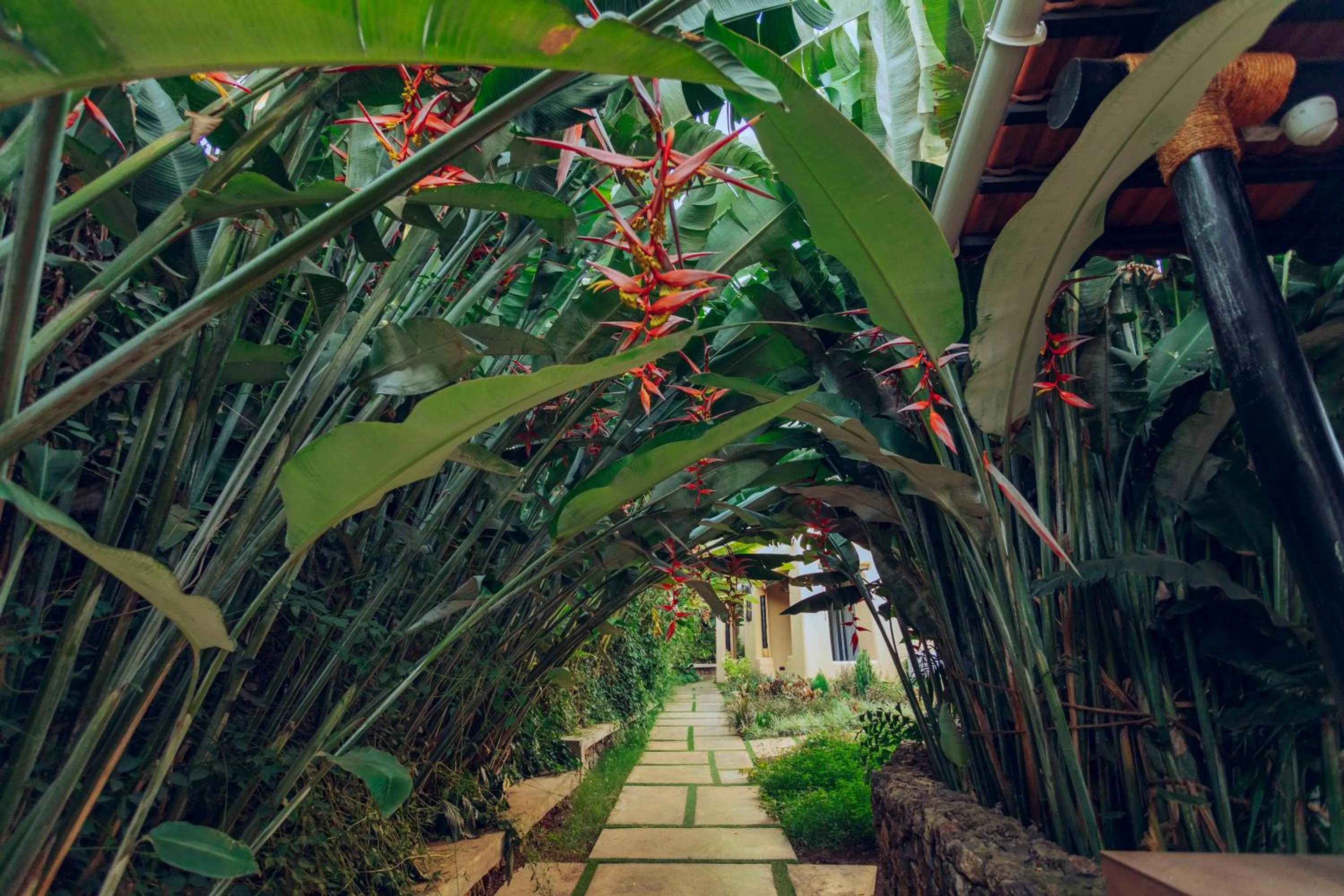 Spring in The Maridadi Hotel